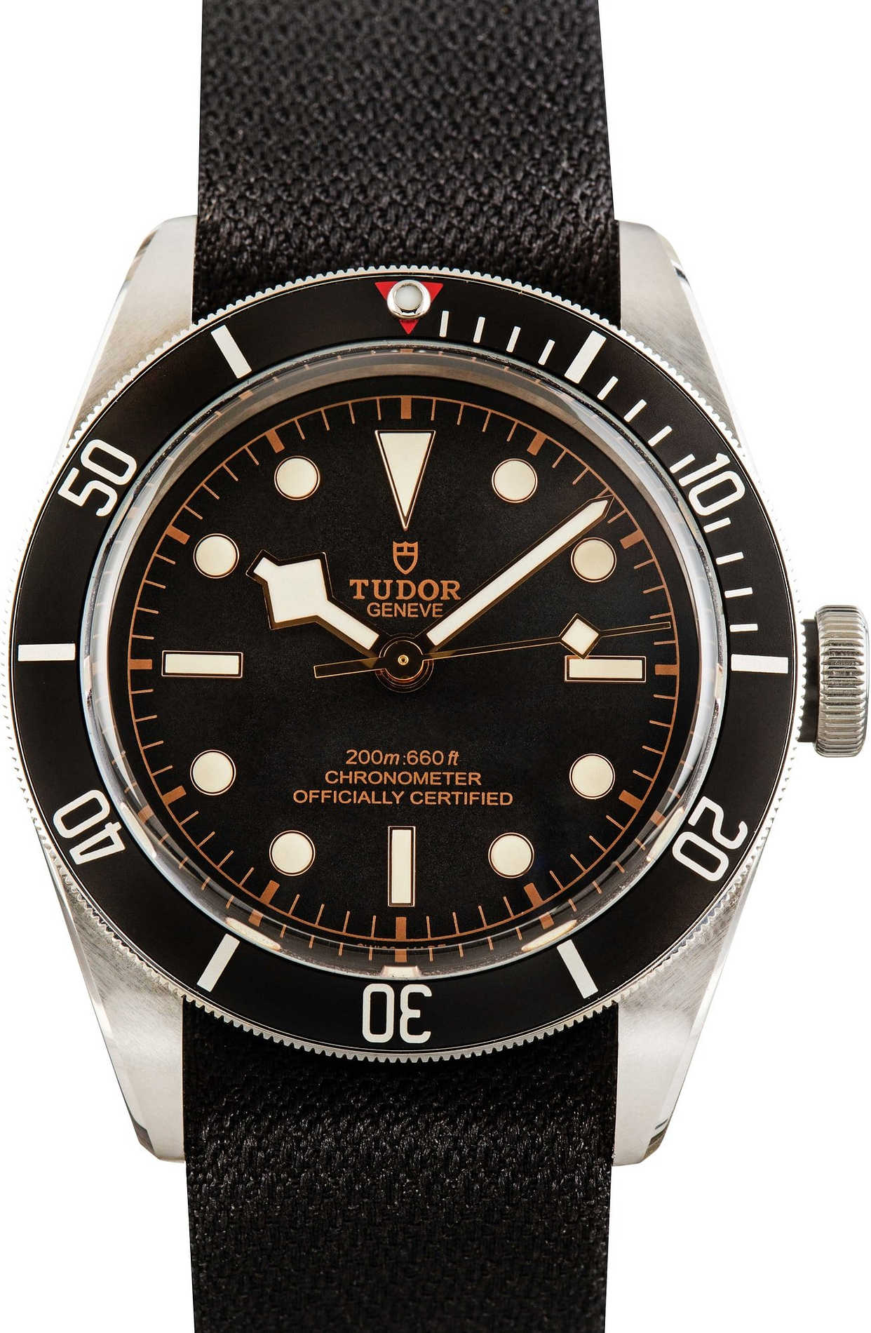 The Tudor Black Bay 79230N