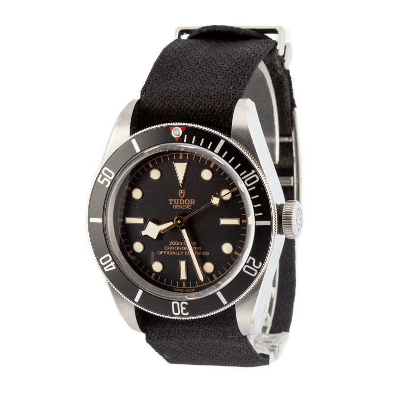 The Tudor Black Bay 79230N