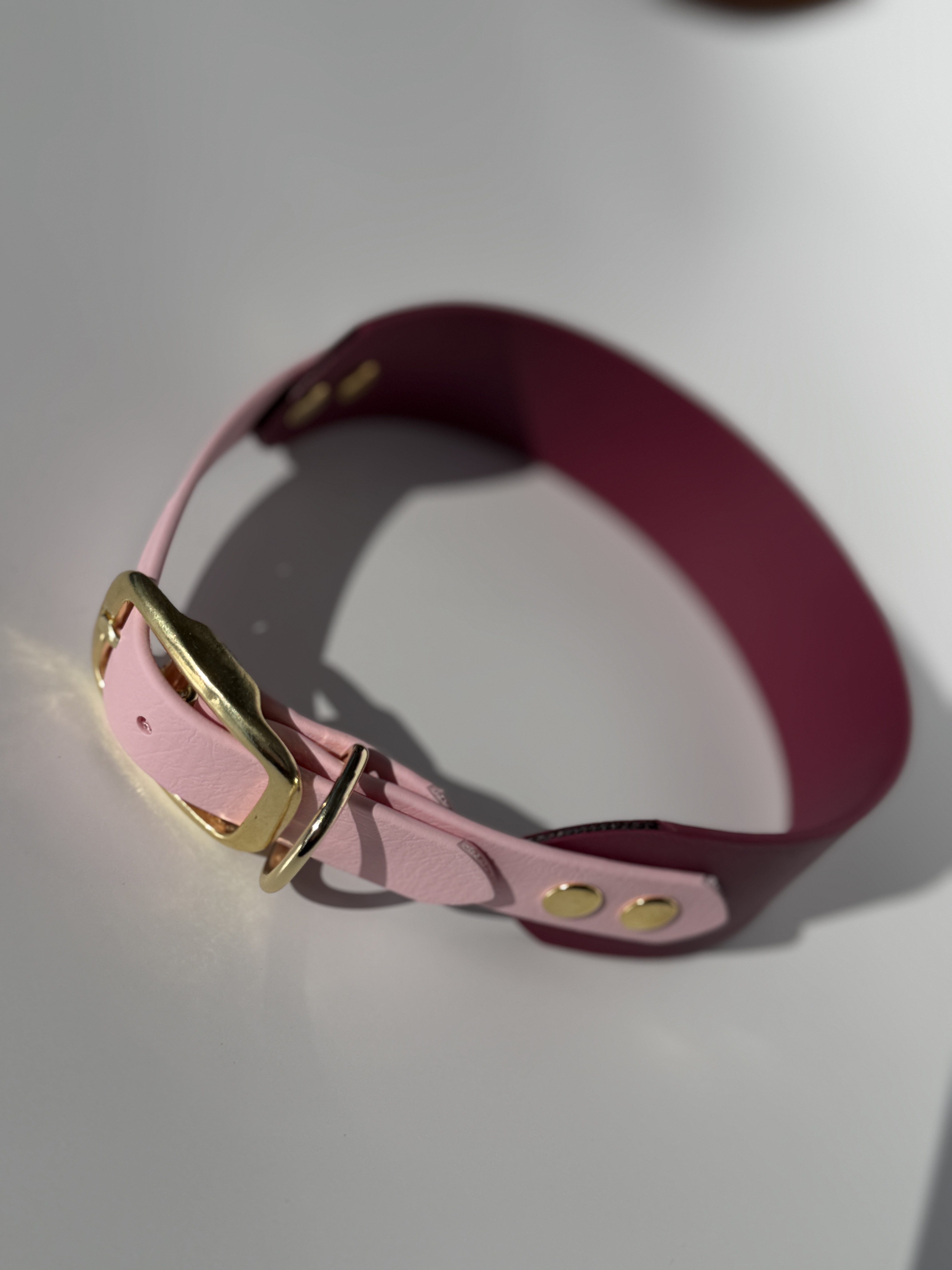 Platus antkaklis su sumažinta sagtimi (38/19mm)