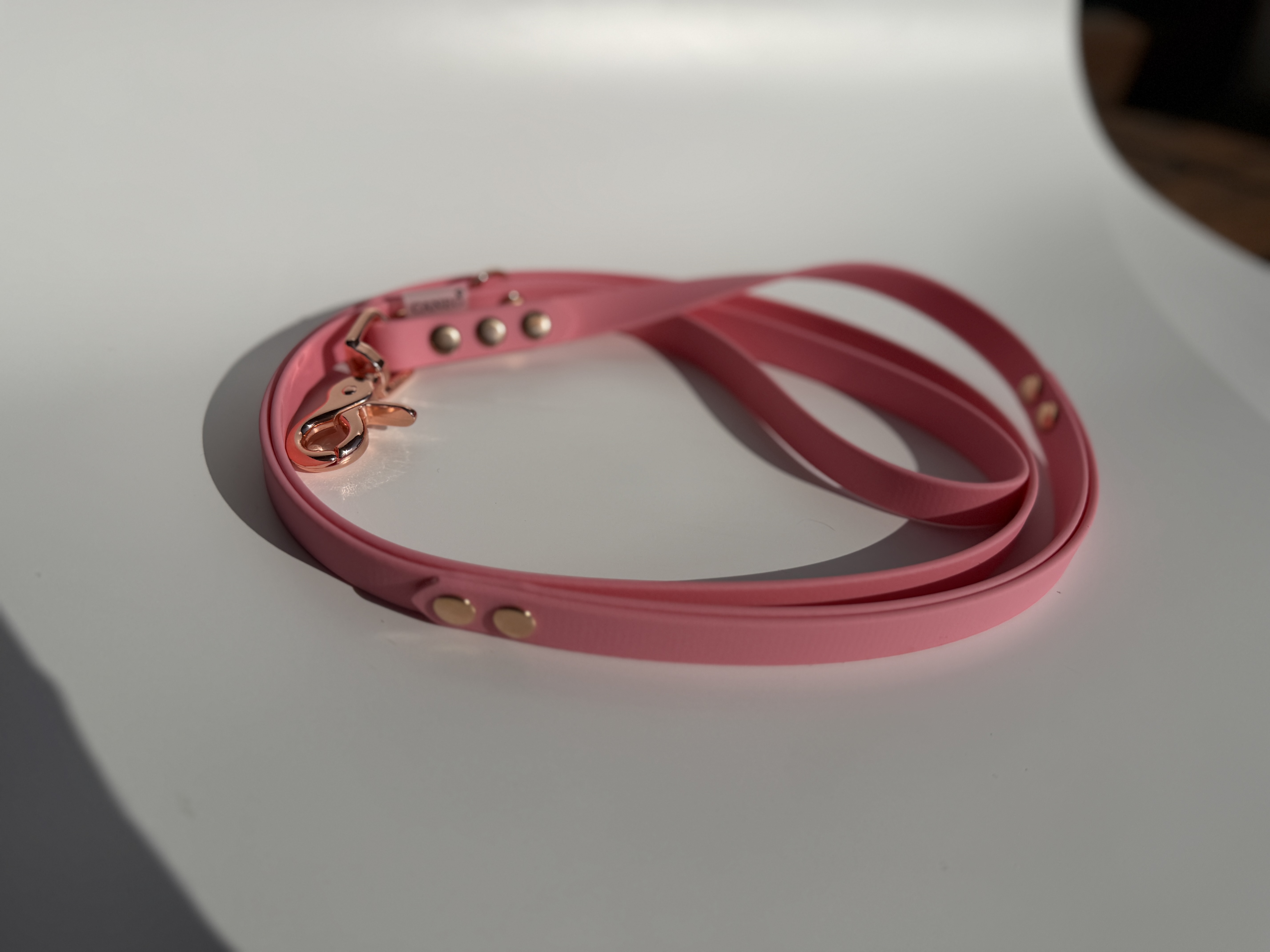 Klasikinis pavadėlis su papildoma rankena (16mm)