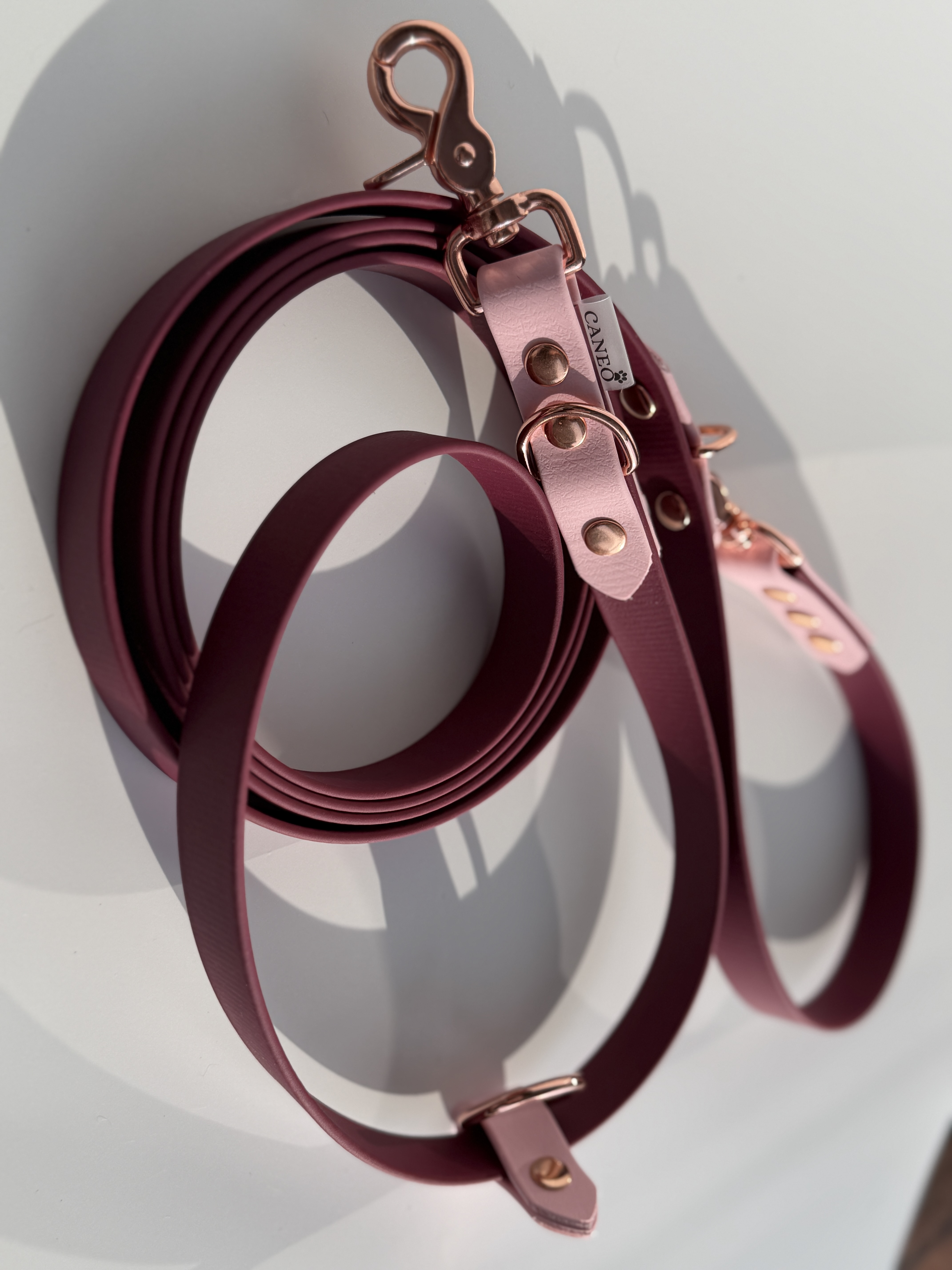 Daugiafunkcinis pavadėlis Milli (19mm)