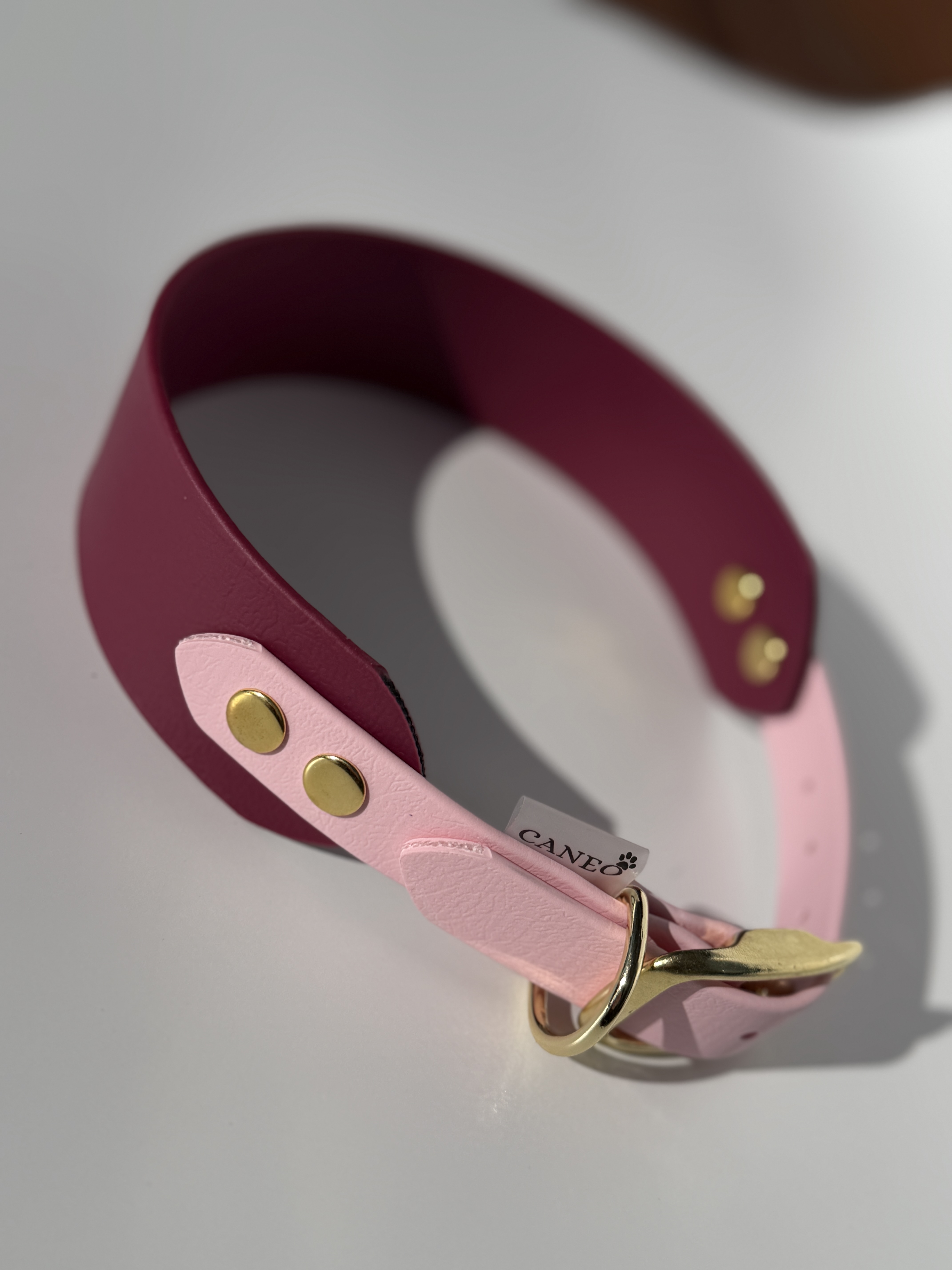 Platus antkaklis su sumažinta sagtimi (38/19mm)