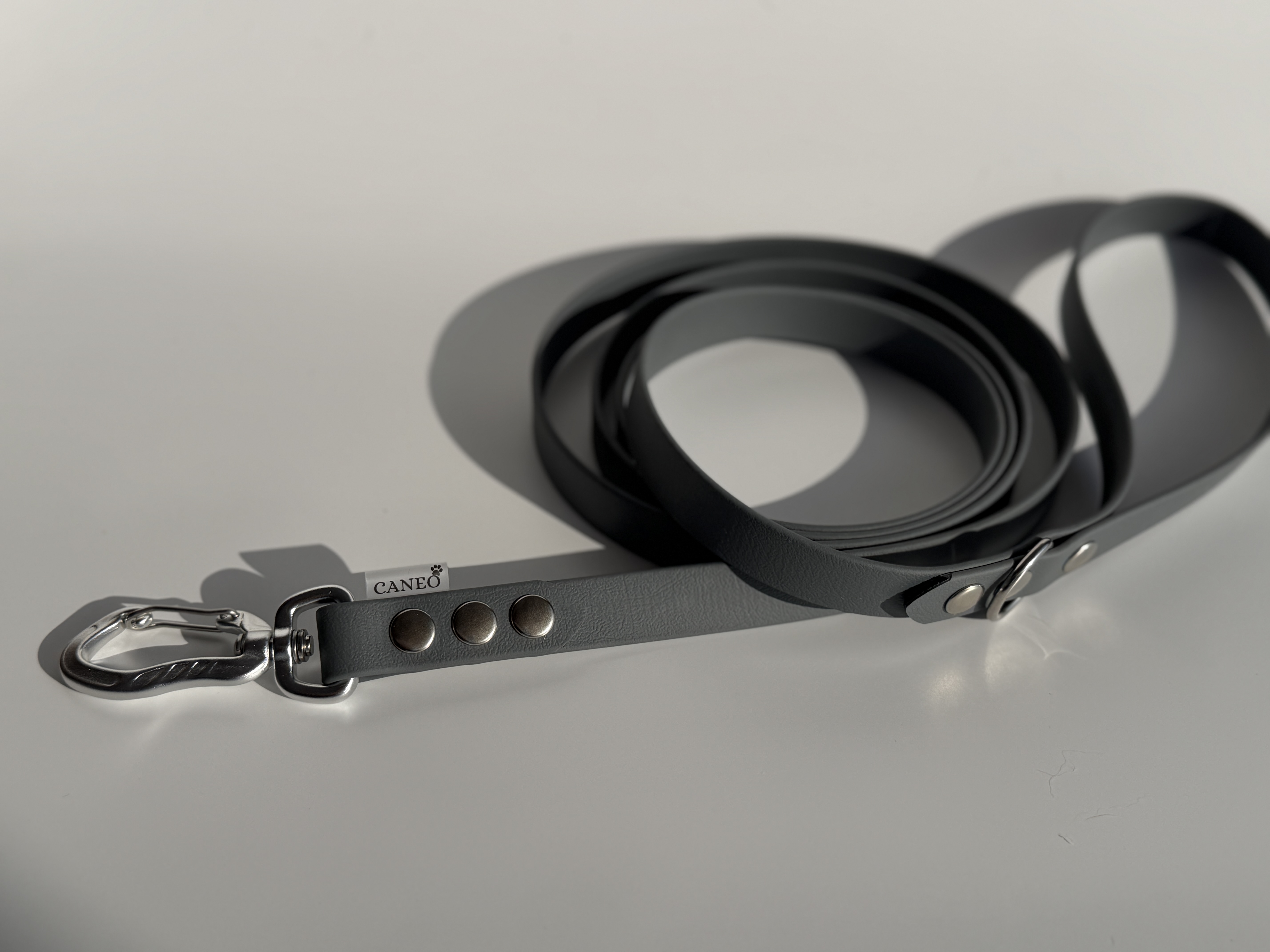 Klasikinis pavadėlis (19mm)