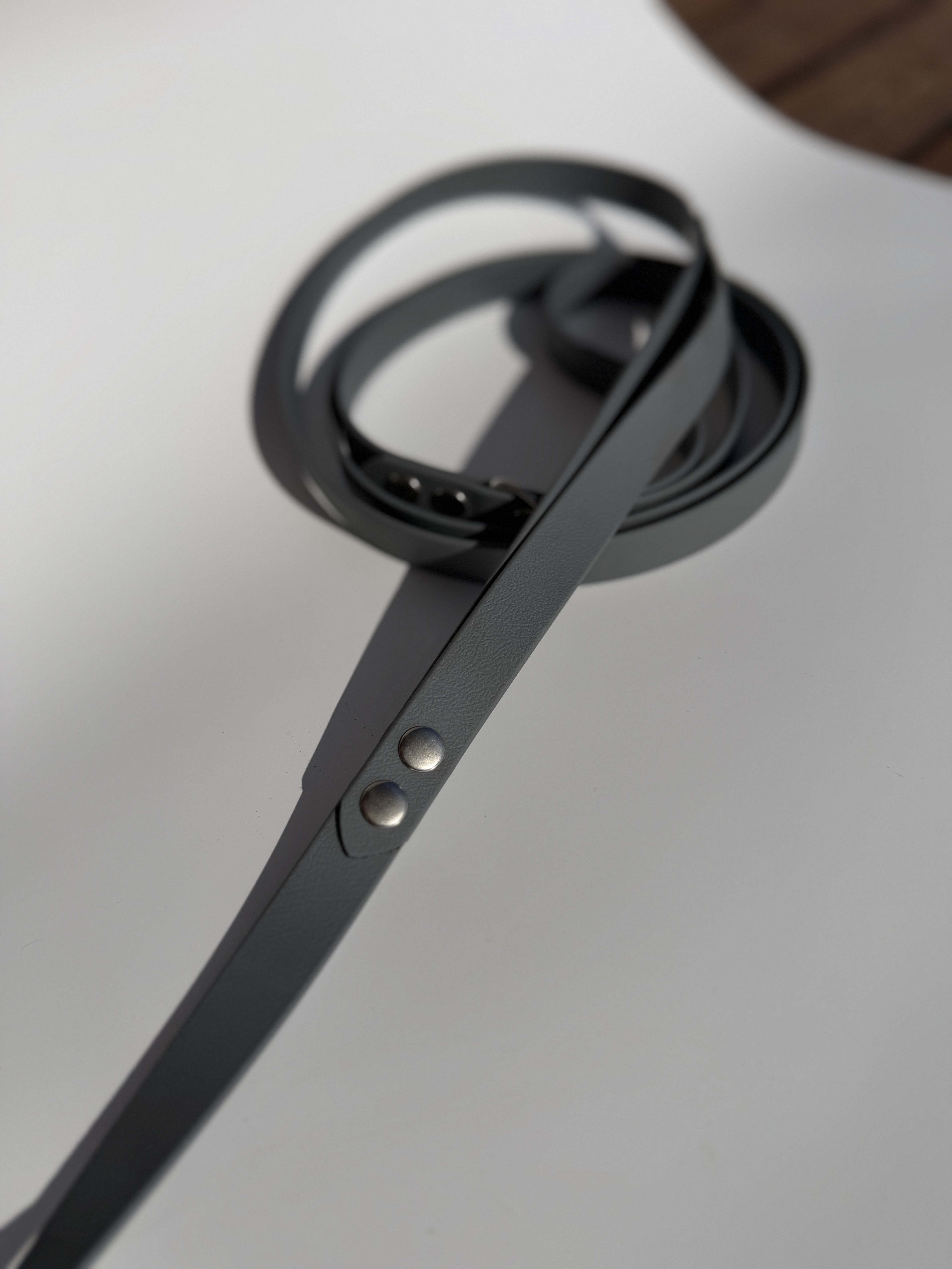 Klasikinis pavadėlis su papildoma rankena (19mm)