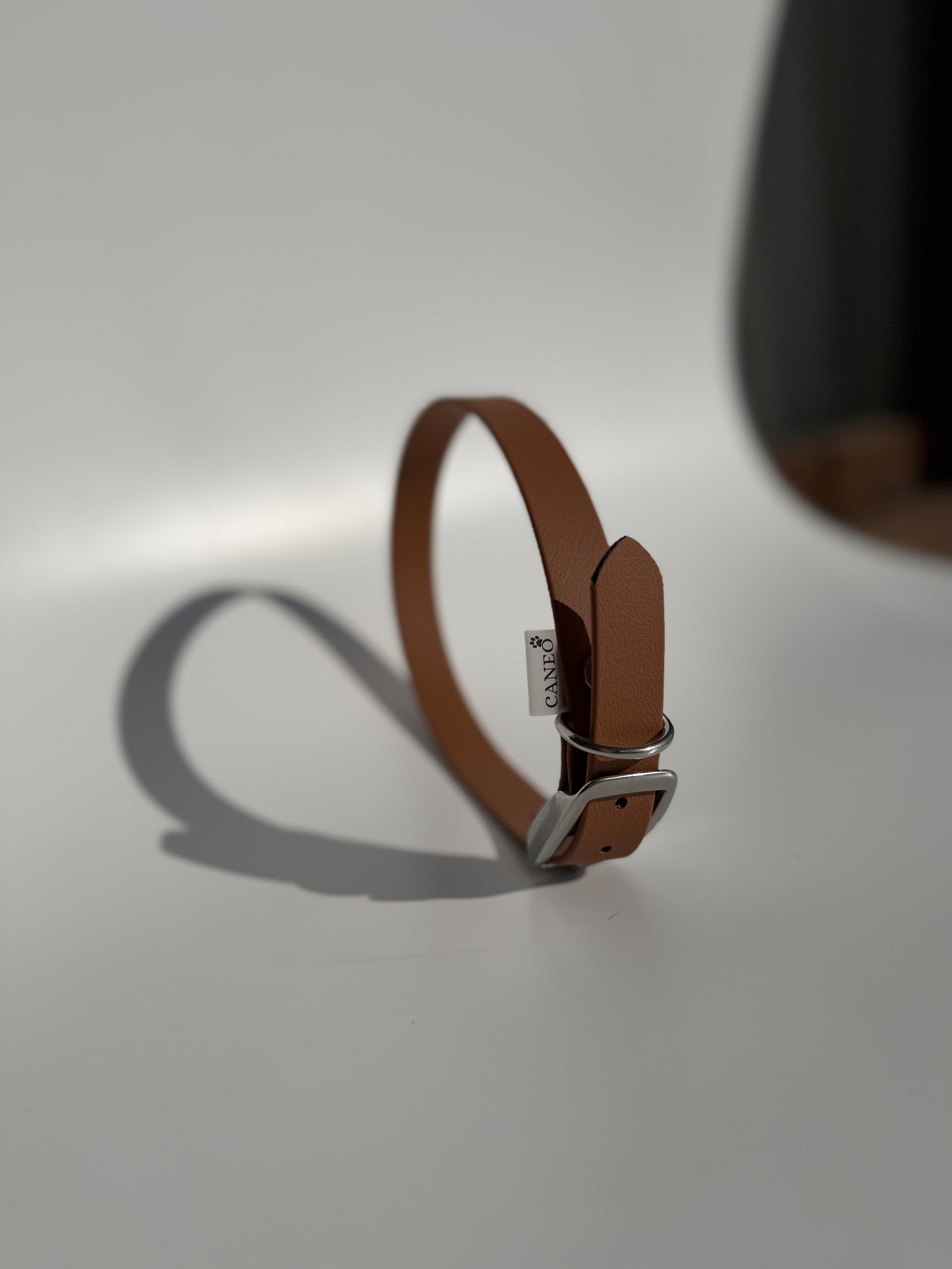 Klasikinis antkaklis (19mm)