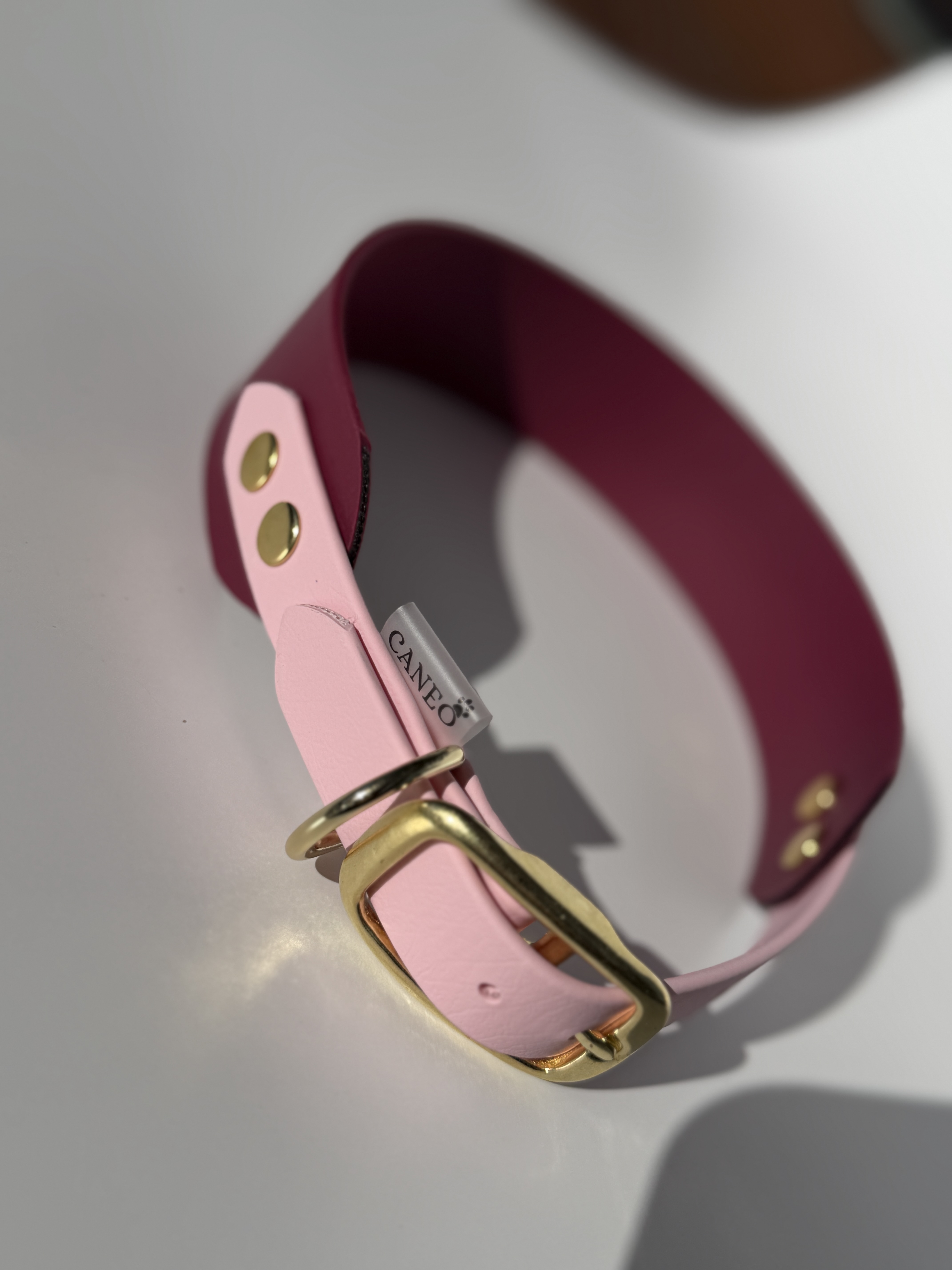 Platus antkaklis su sumažinta sagtimi (38/19mm)