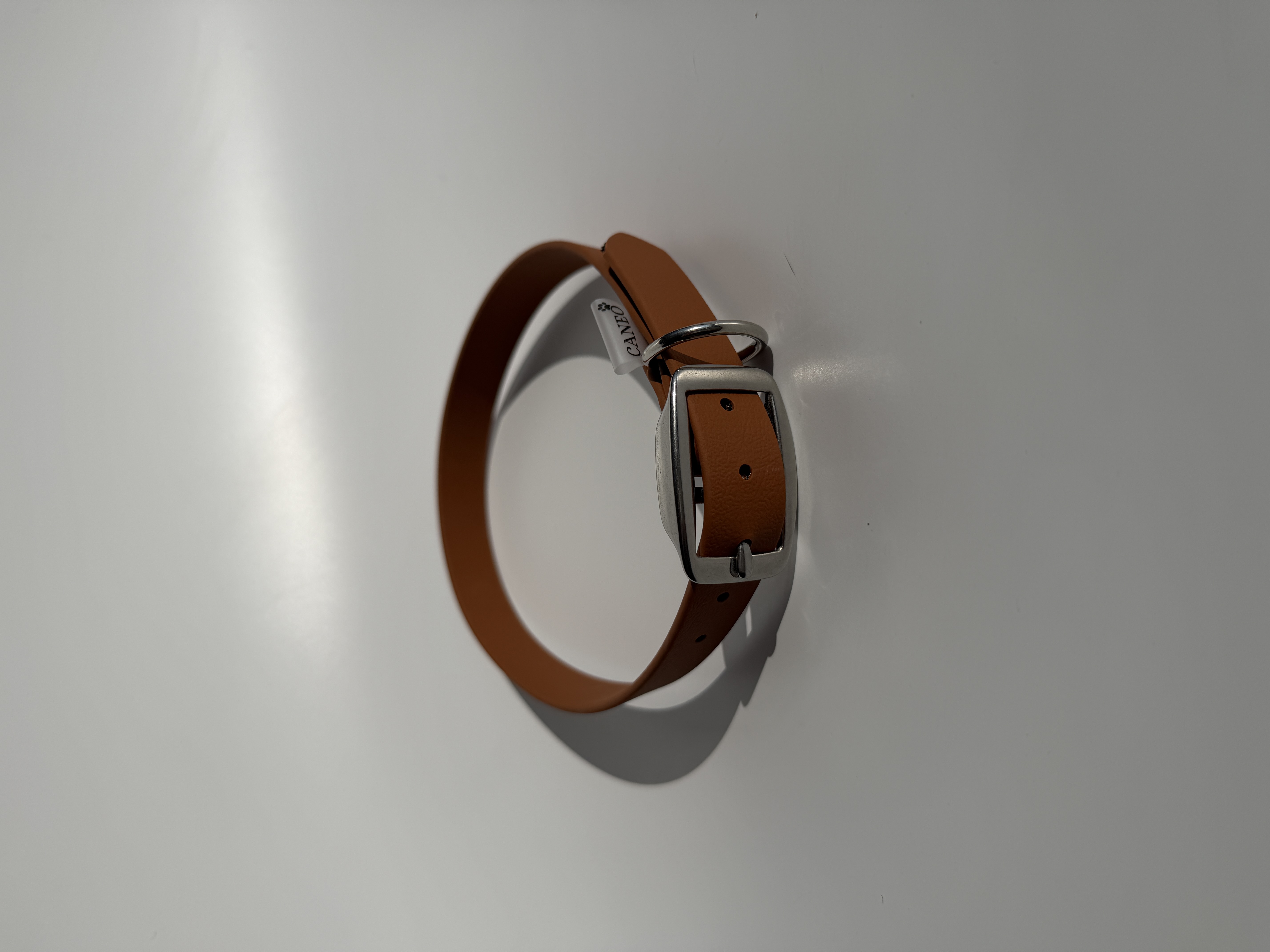 Klasikinis antkaklis (19mm)