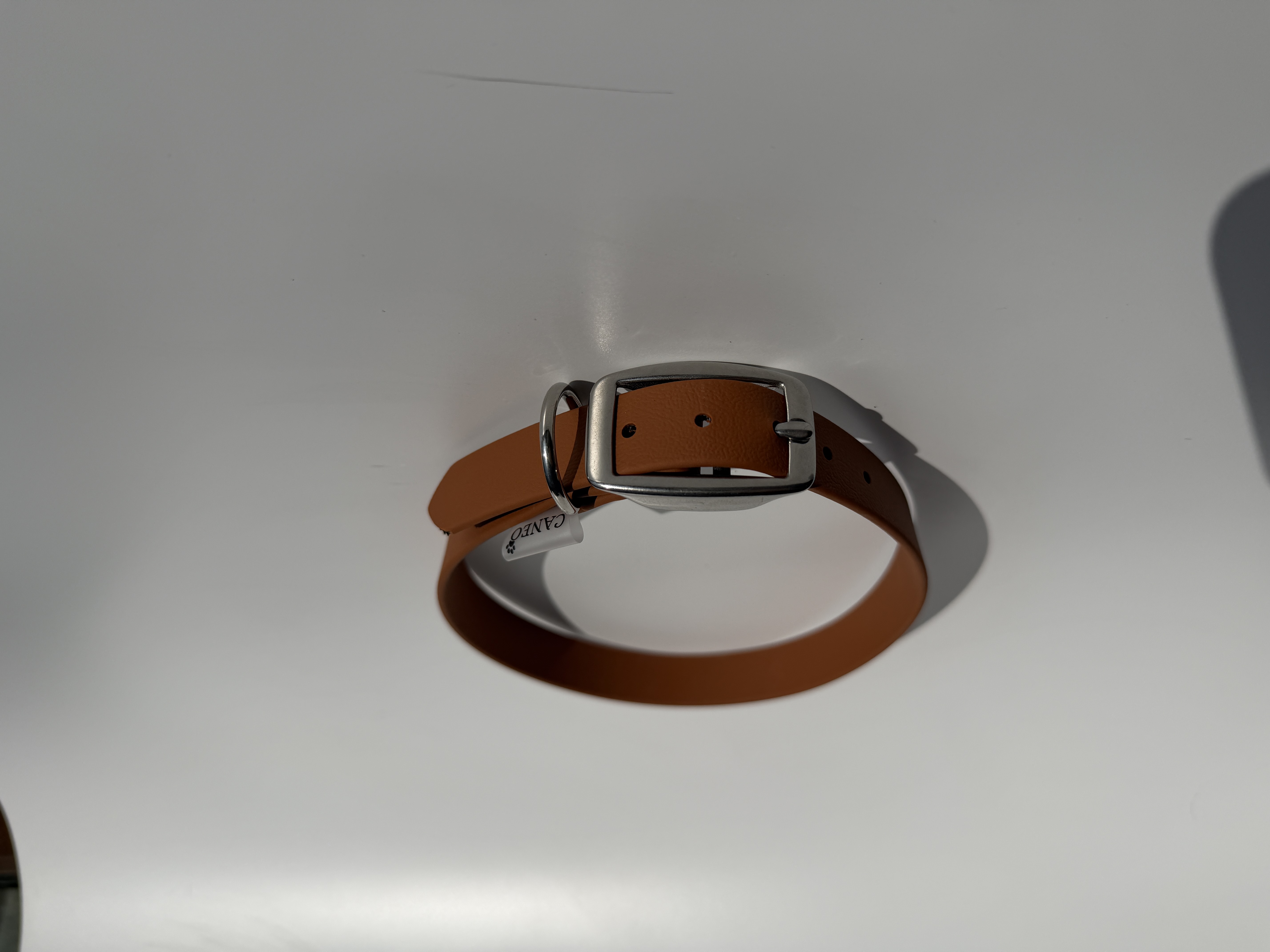 Klasikinis antkaklis (19mm)