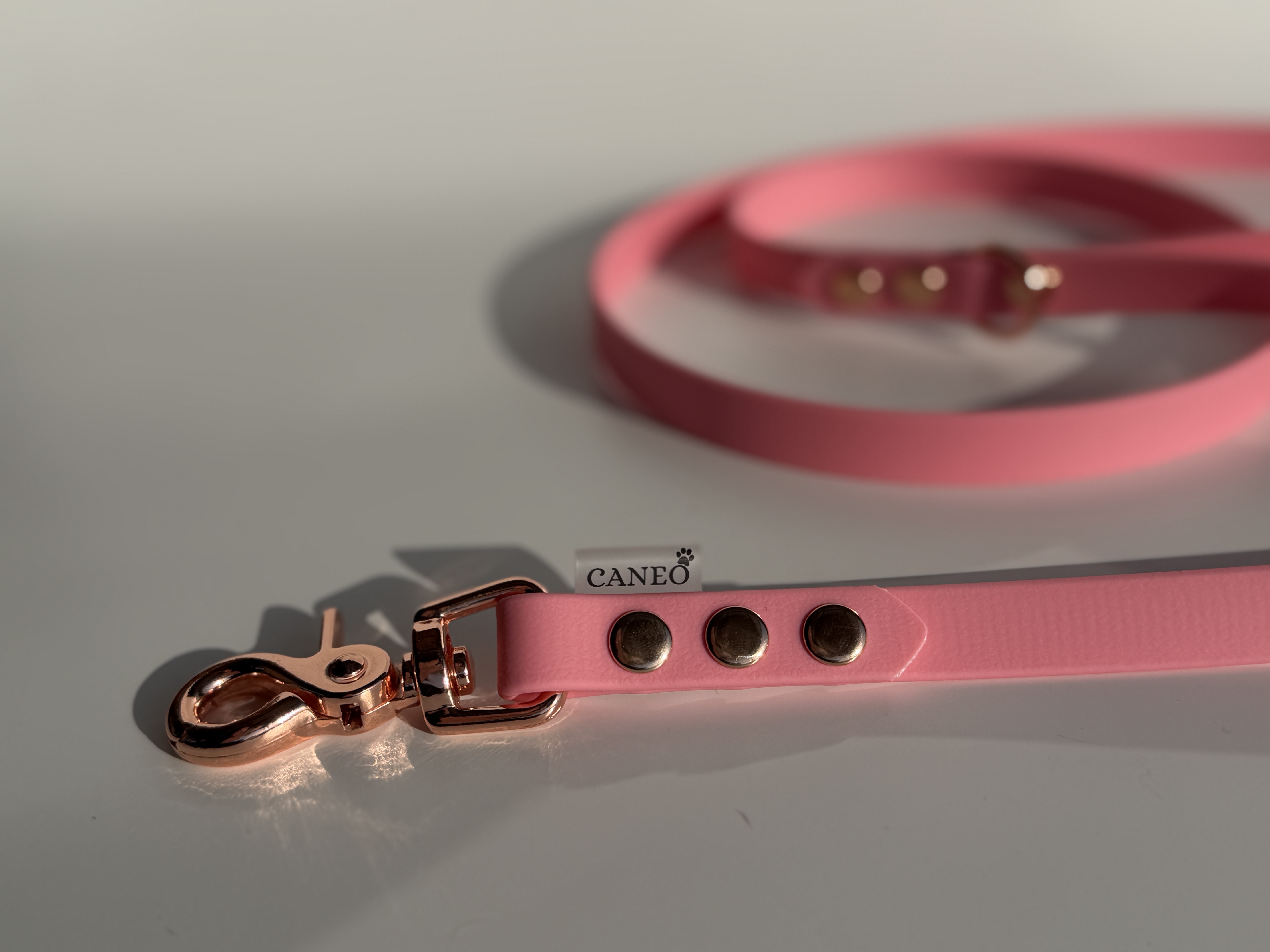 Klasikinis pavadėlis (16mm)