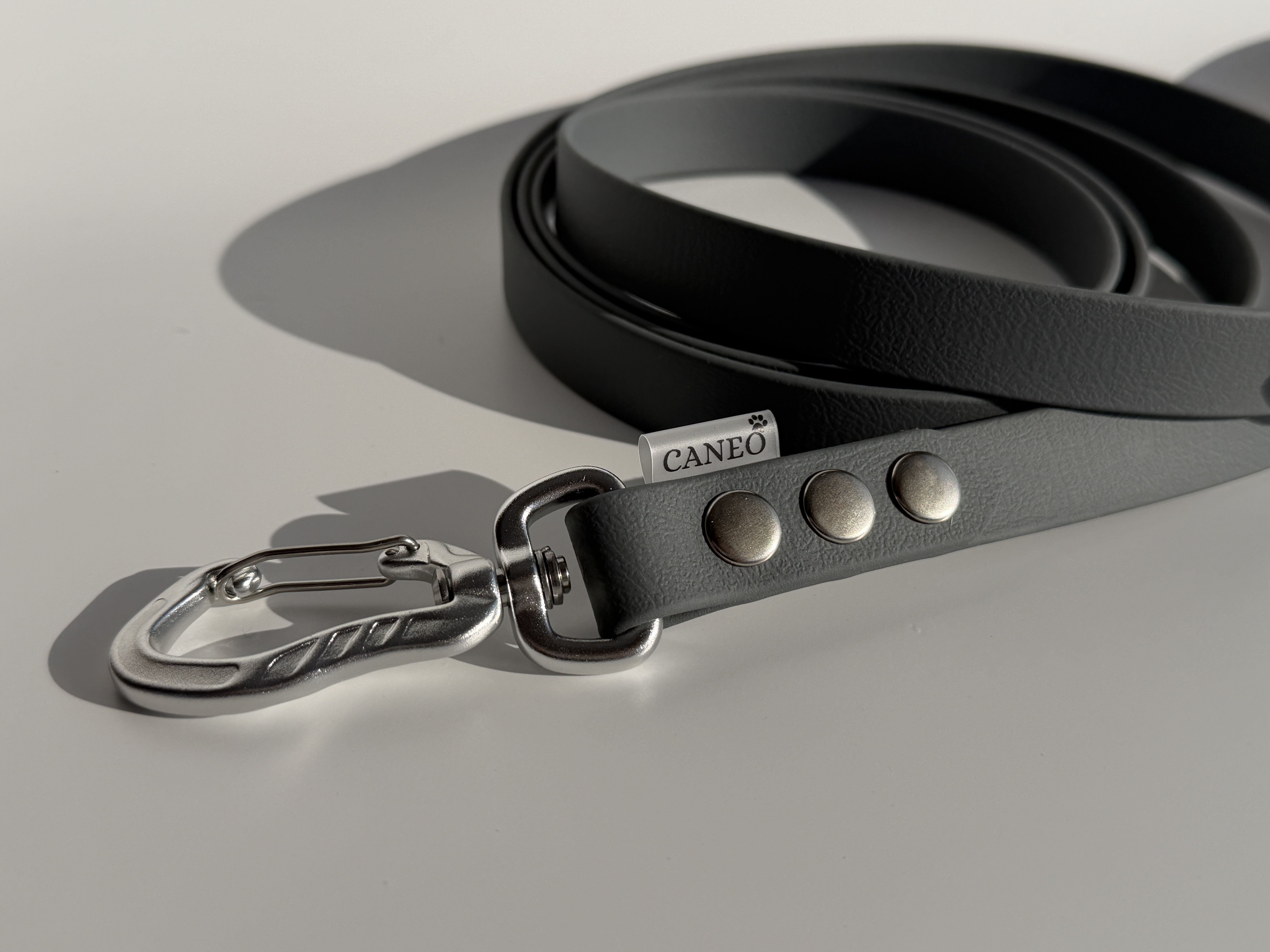 Klasikinis pavadėlis (19mm)