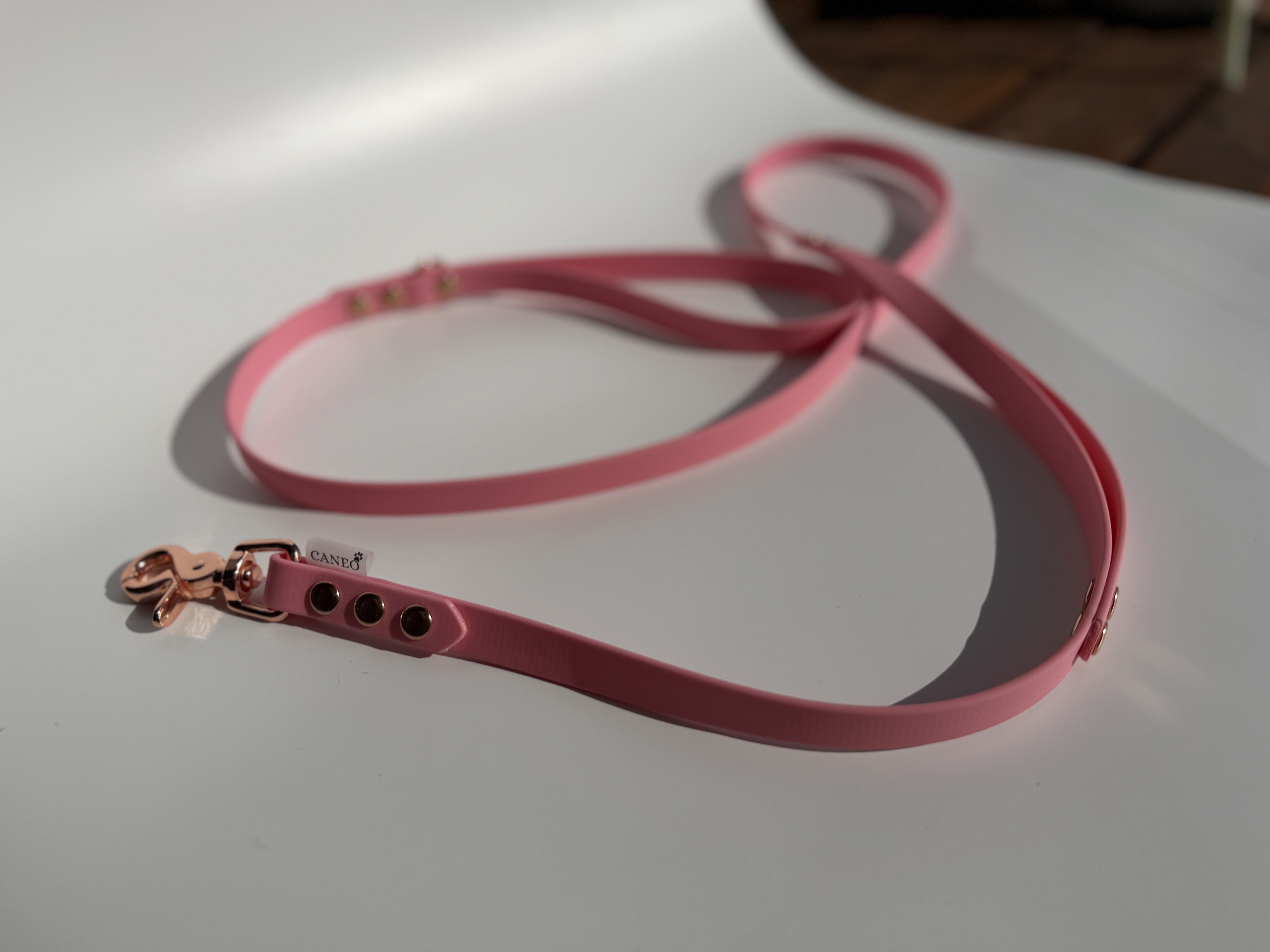 Klasikinis pavadėlis su papildoma rankena (16mm)