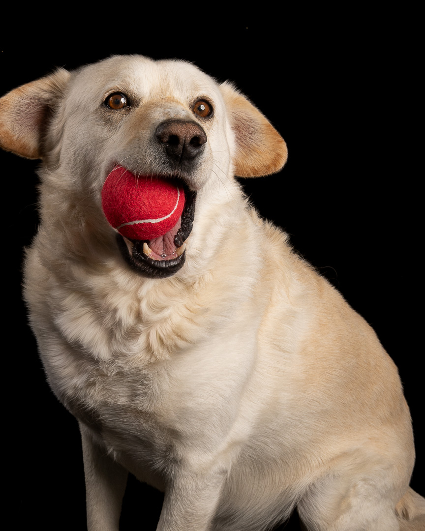 Sesión profesional a domicilio