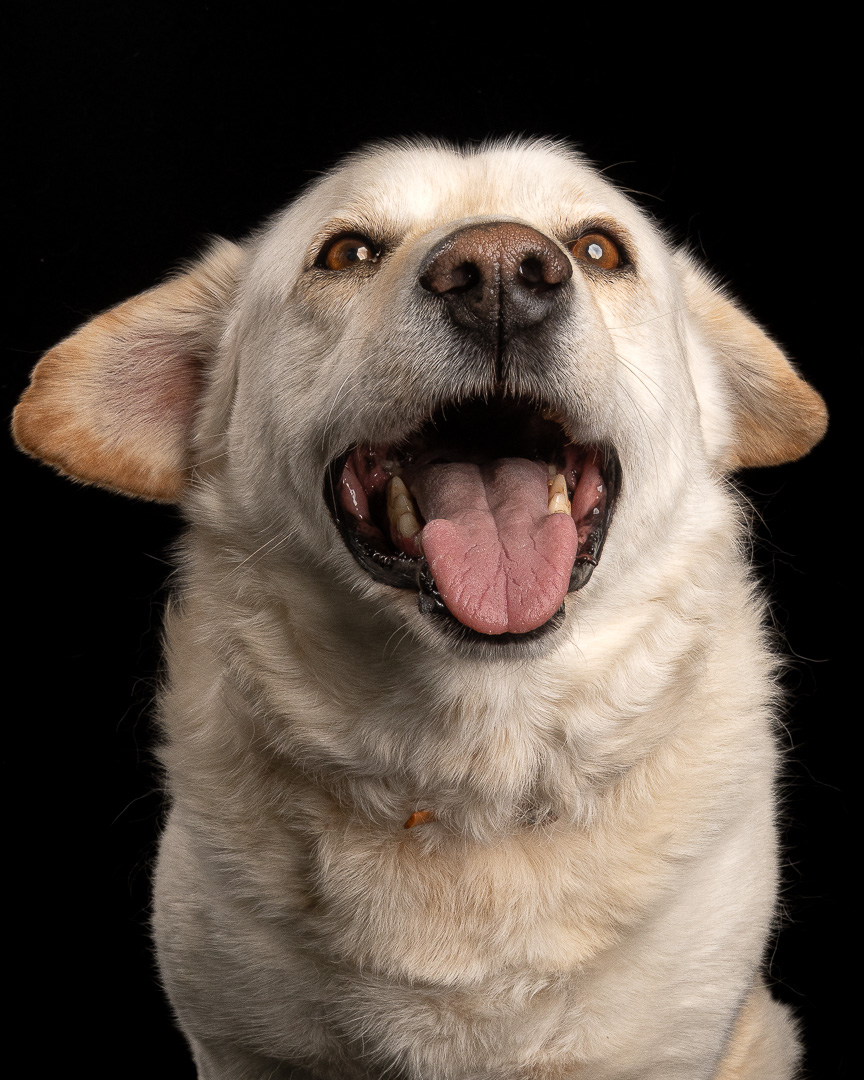 Sesión profesional en estudio