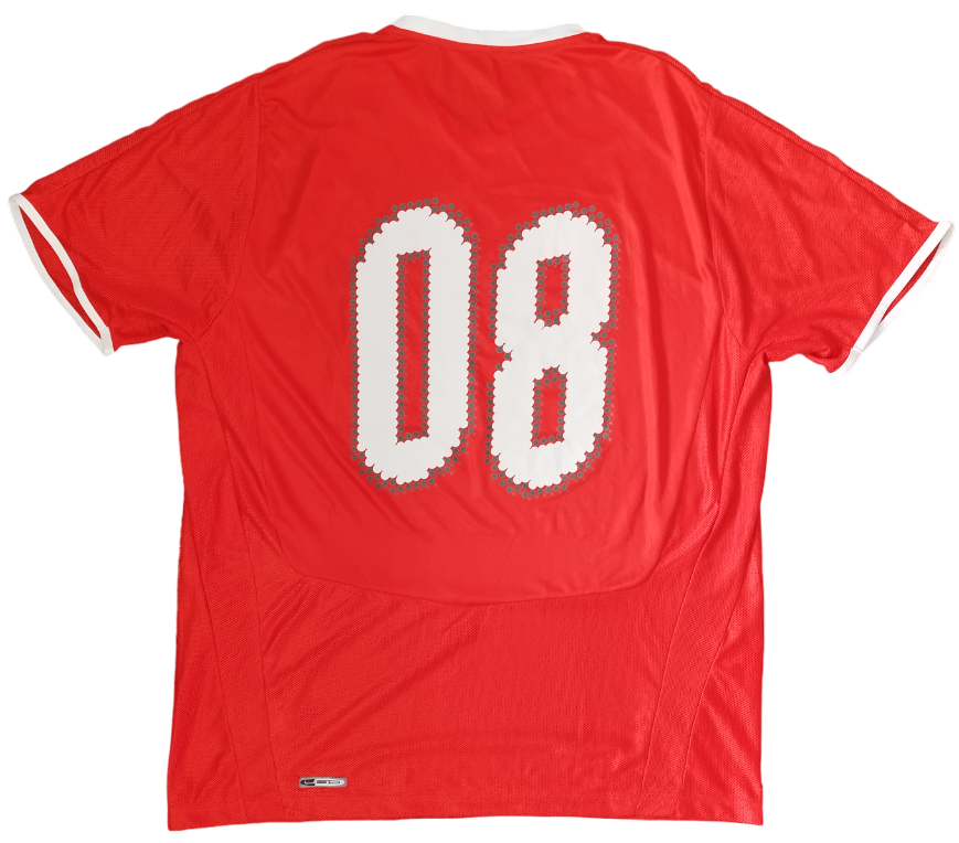 Suiza Local 2008/2009 #08 (L)