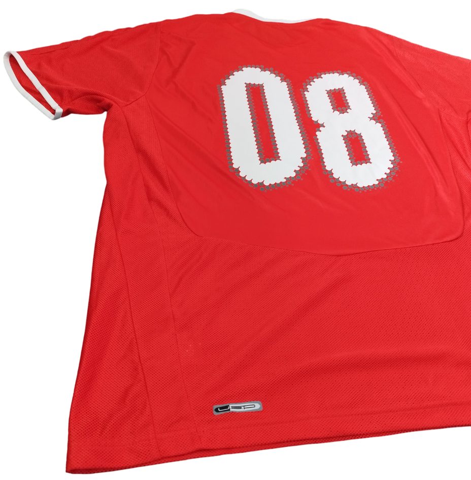 Suiza Local 2008/2009 #08 (L)