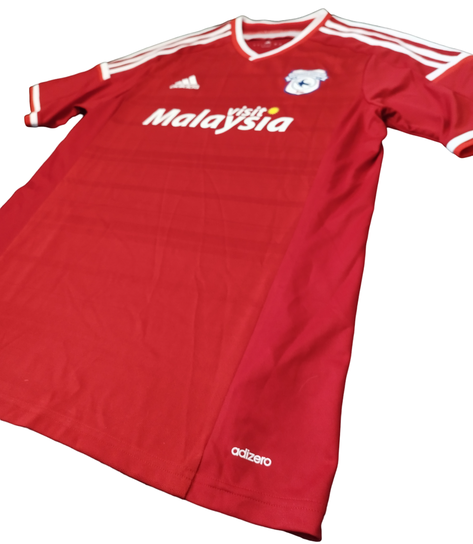 Cardiff City F.C. Visitante 2015/2016 (L)