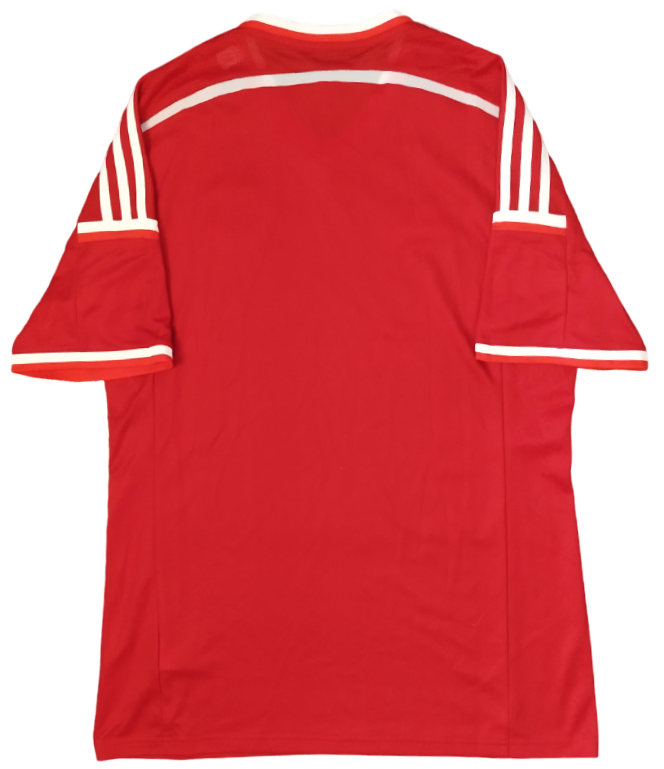 Cardiff City F.C. Visitante 2015/2016 (L)