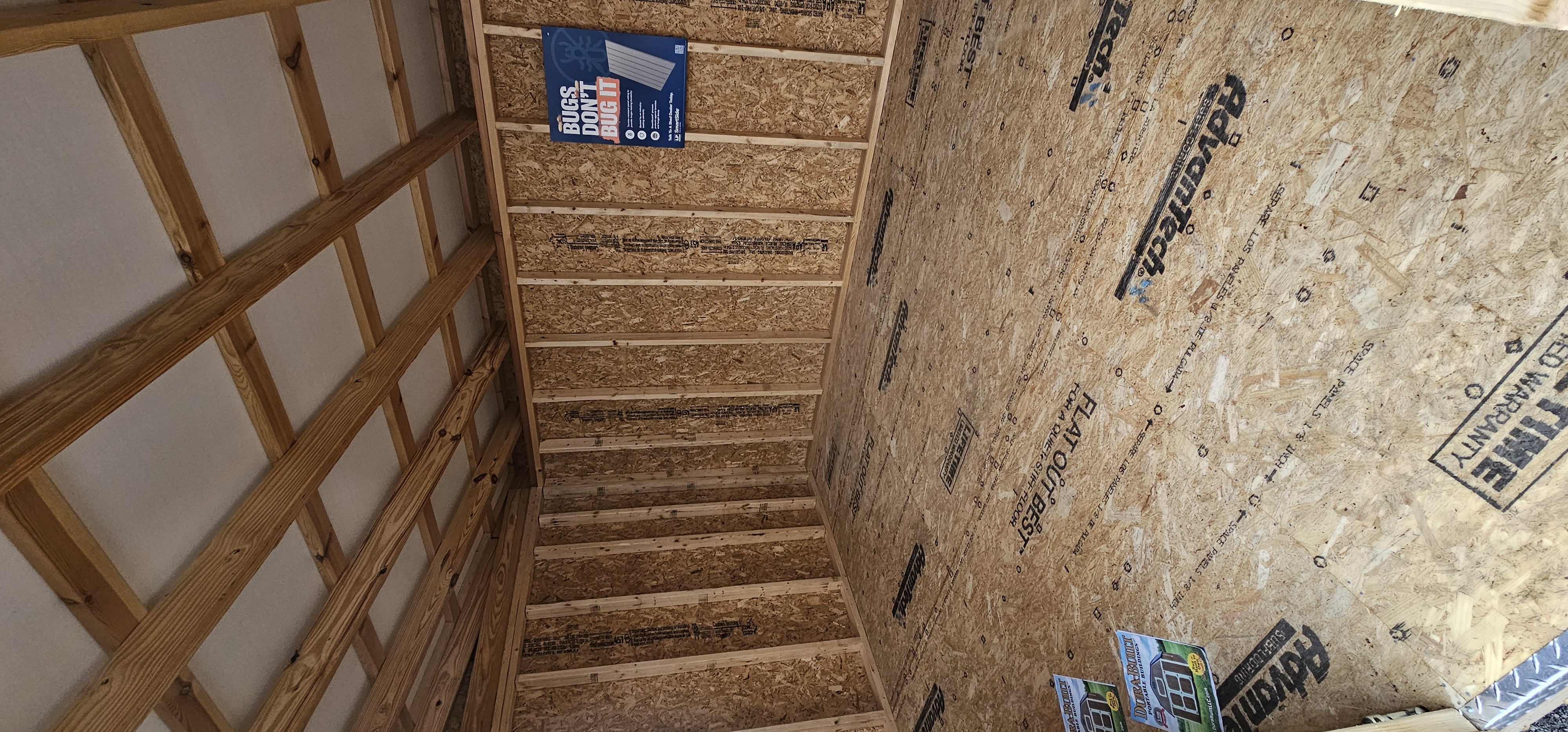 Modern Studio Shed with Overhead Transom Windows