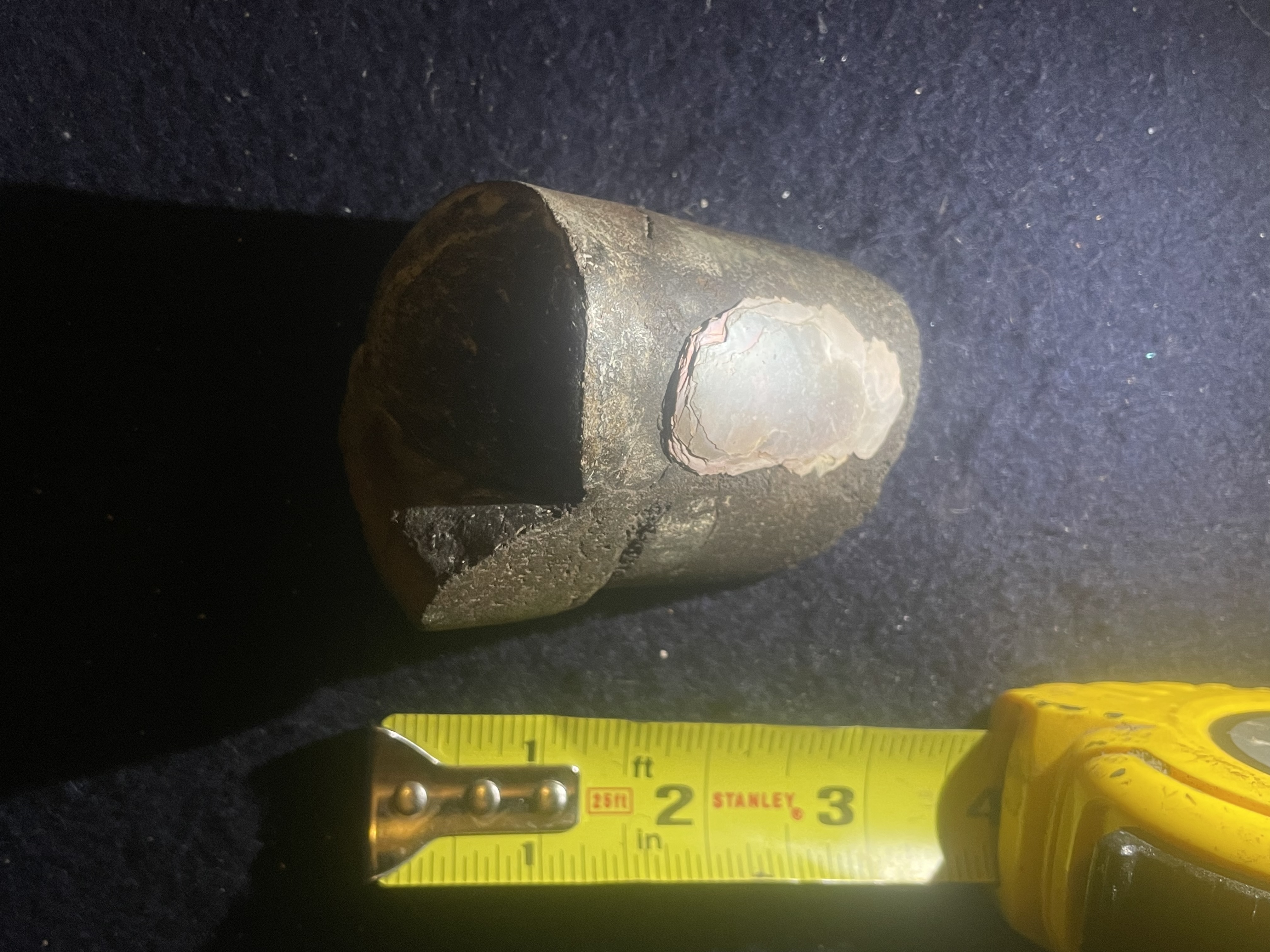 5D - Opalized Baculite 