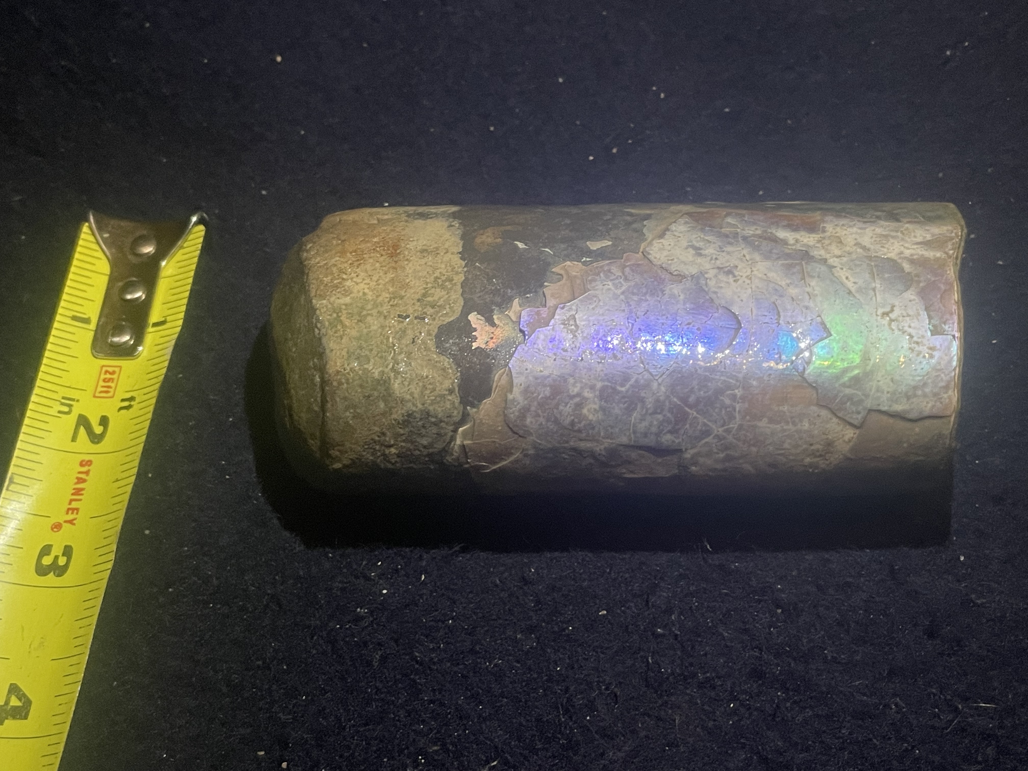 13D - Opalized Baculite