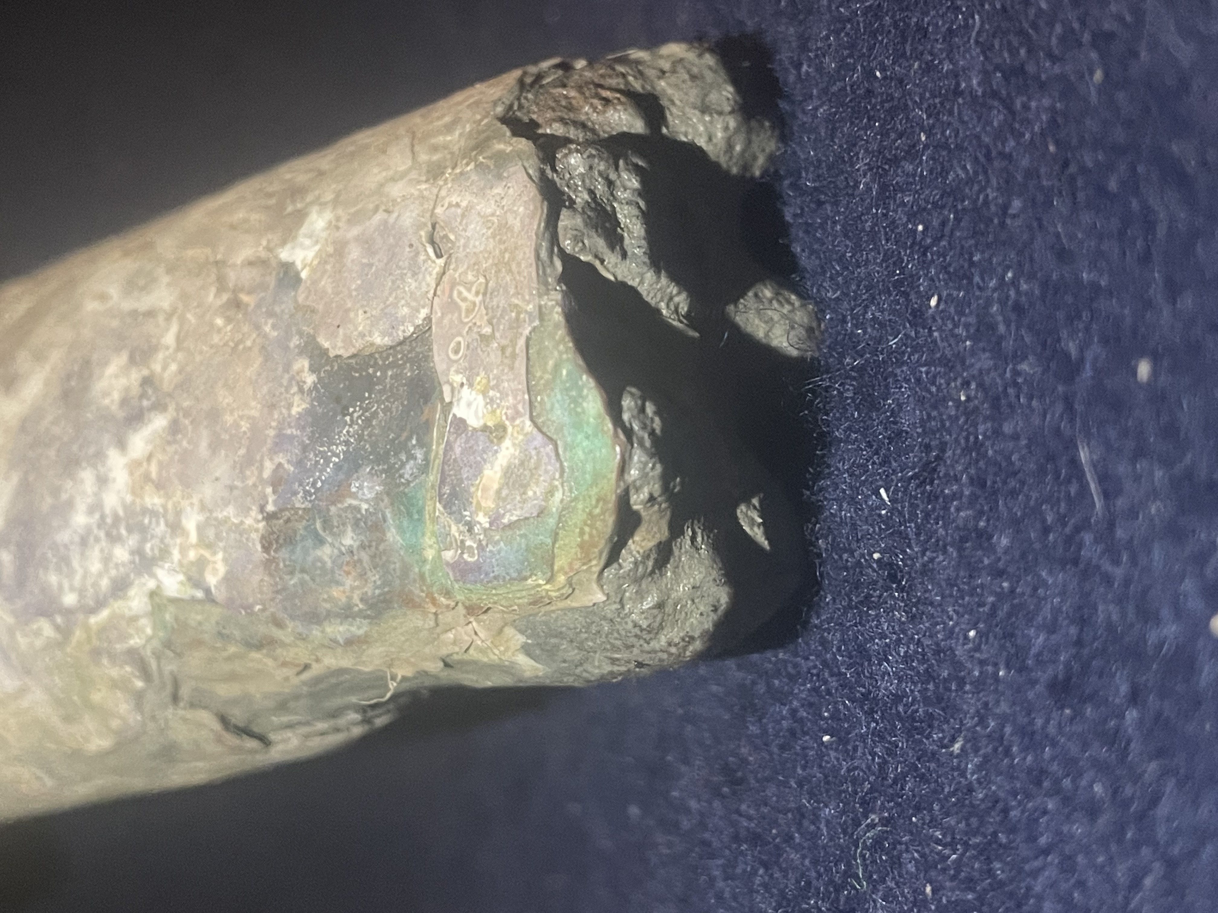 14D - Opalized Baculite