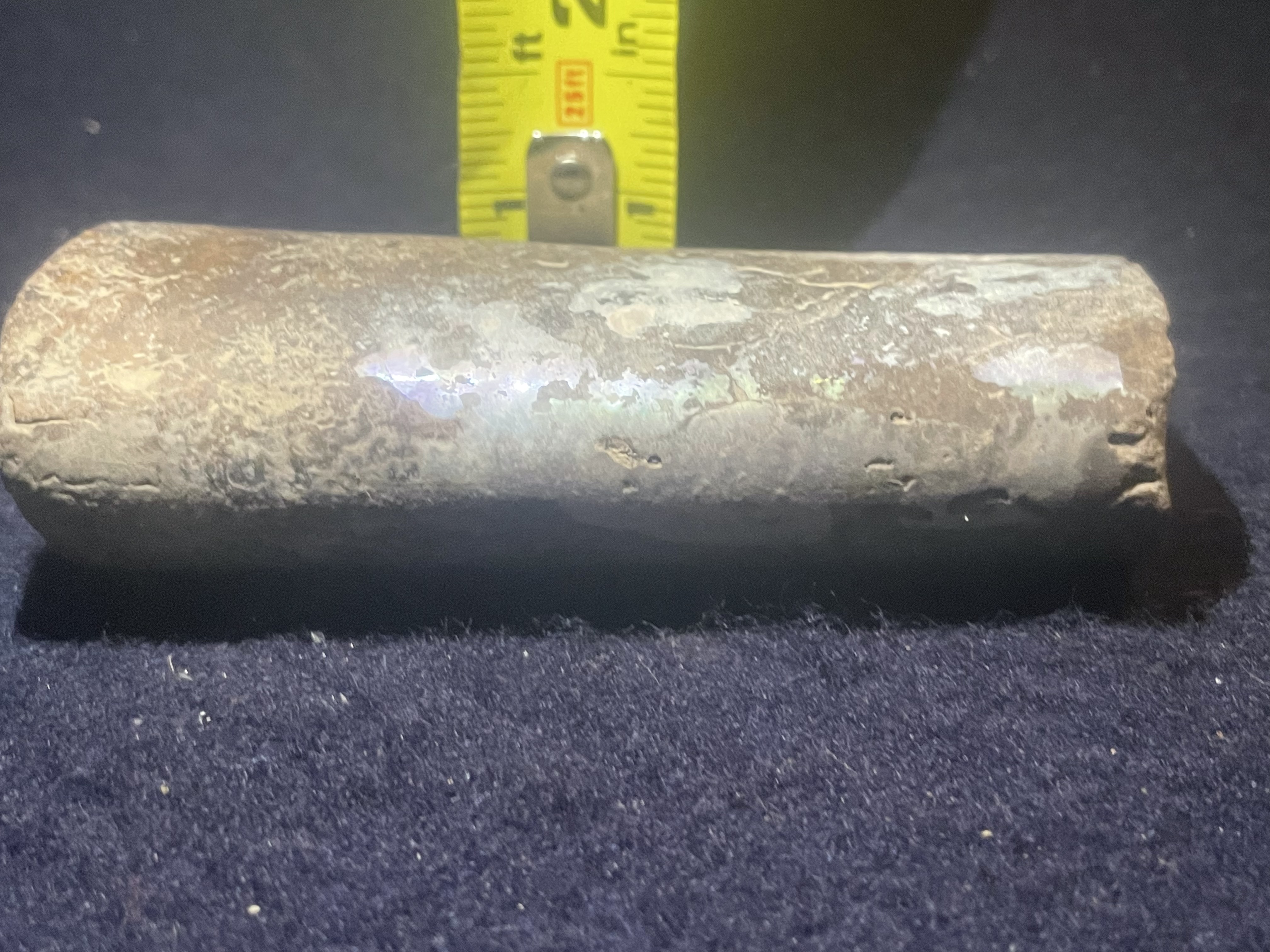 7D - Opalized Baculite