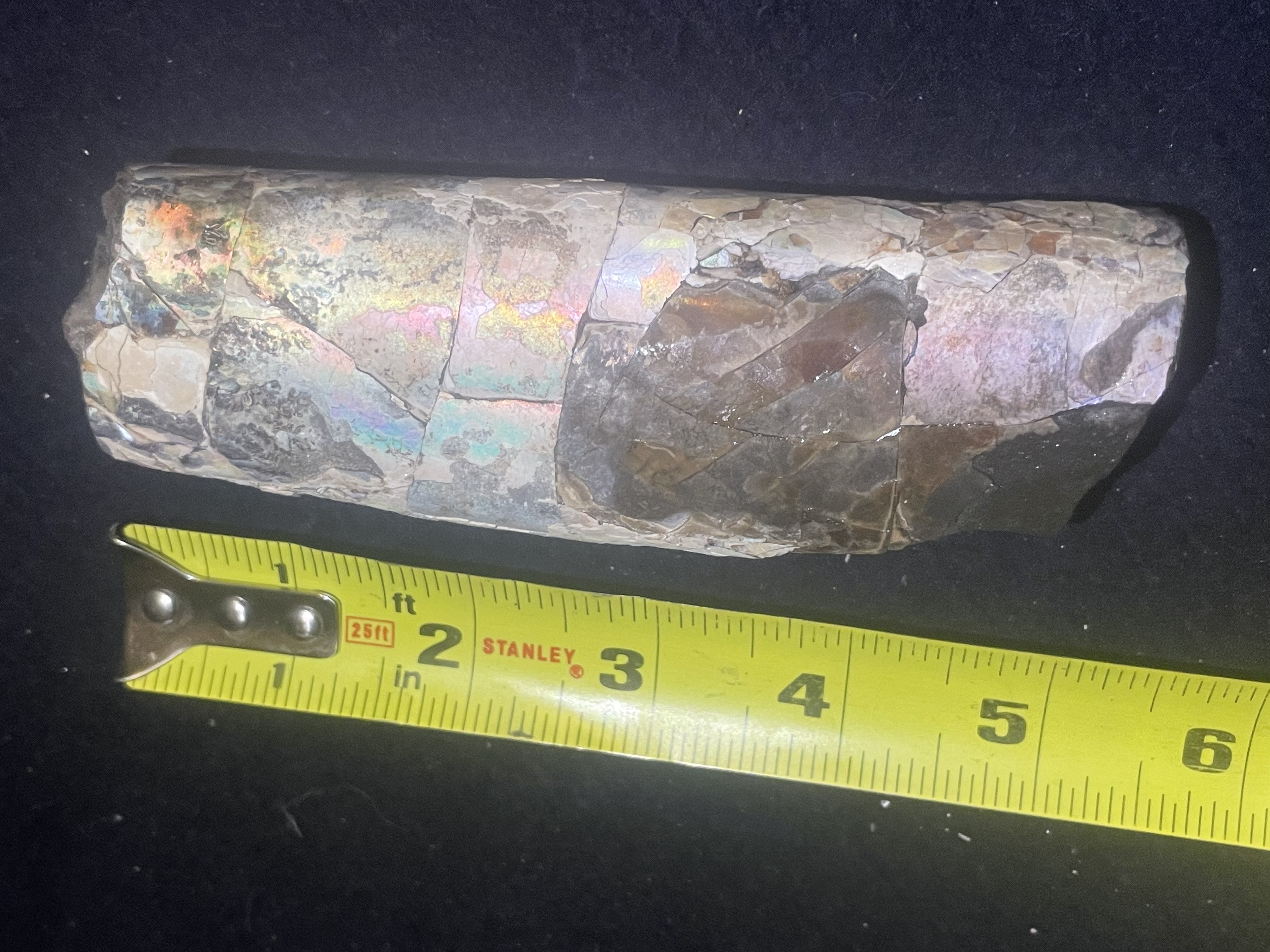 10D - Opalized Baculite