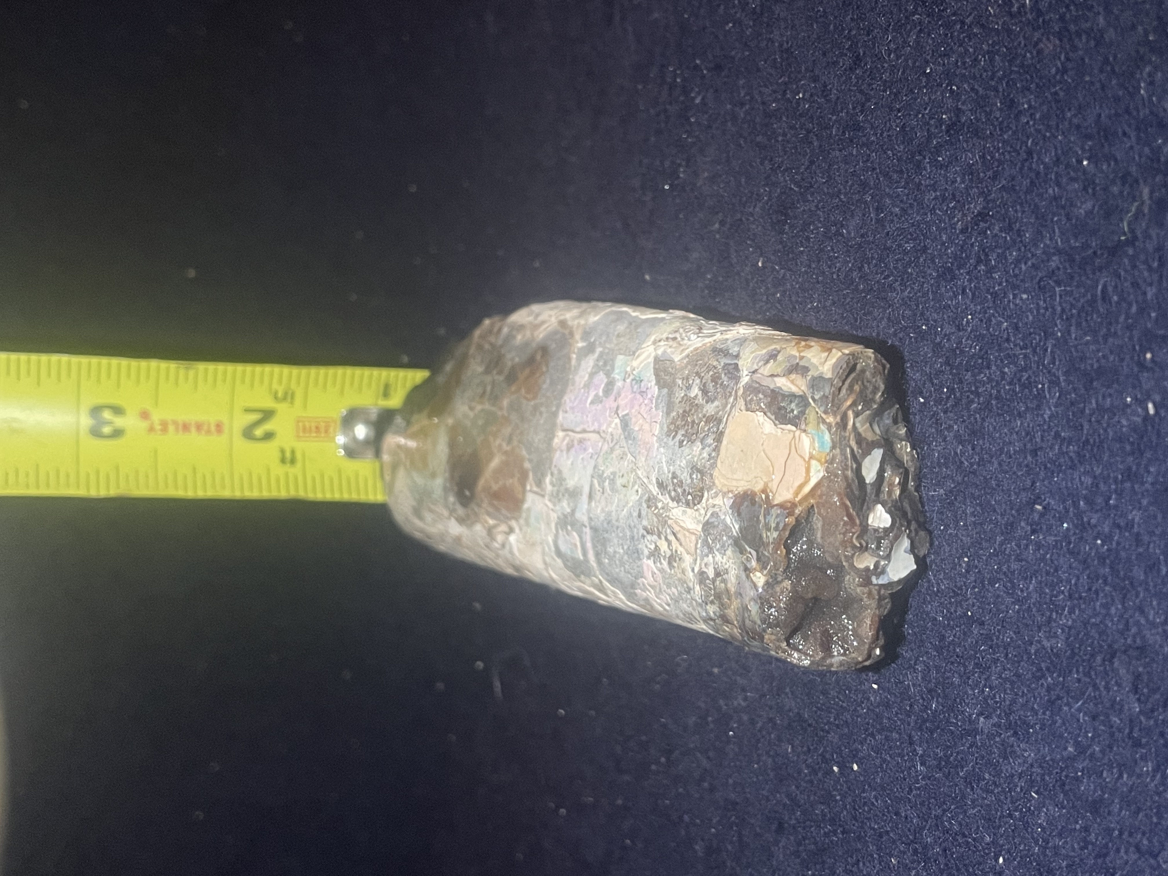 10D - Opalized Baculite 