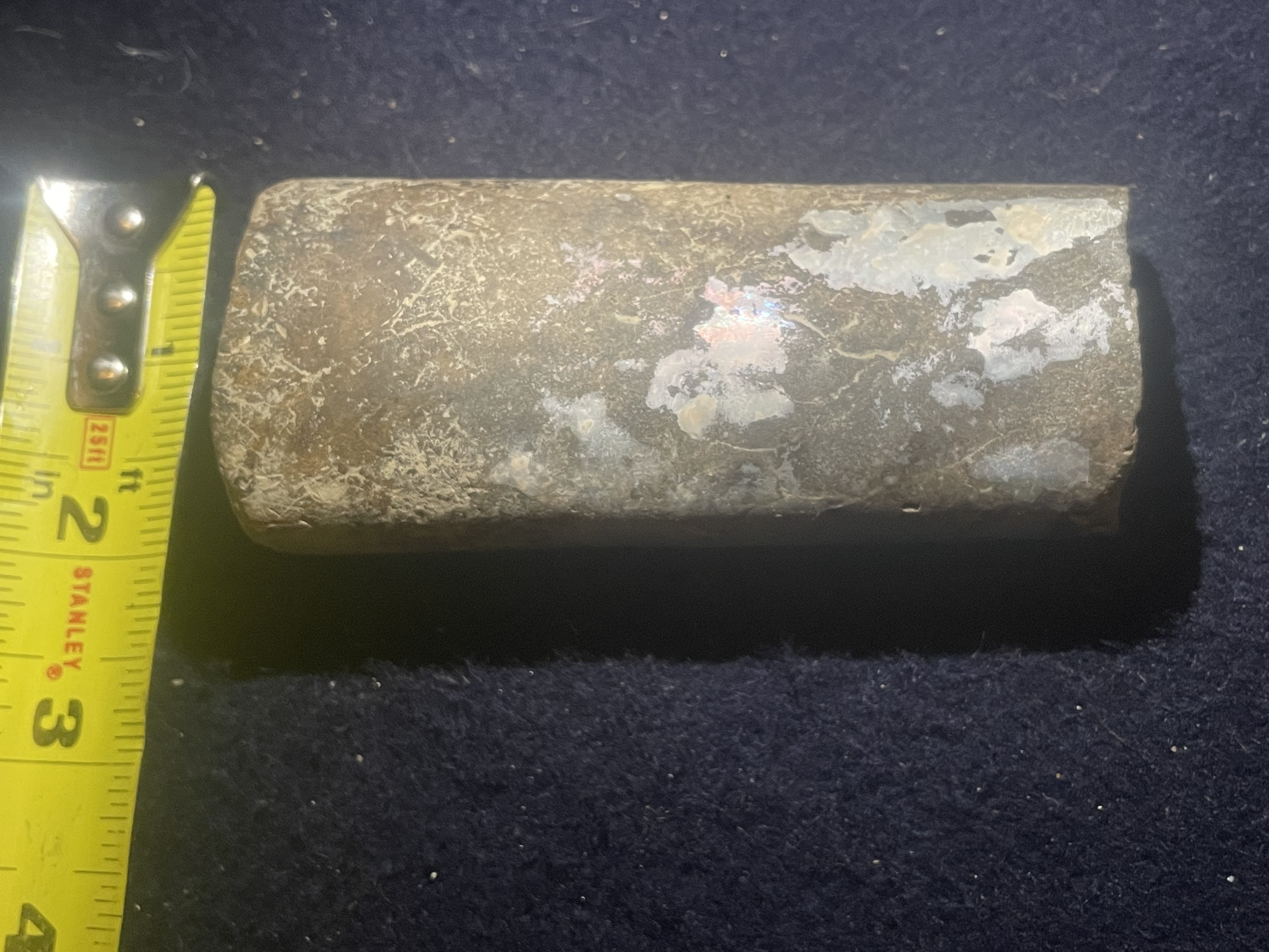 7D - Opalized Baculite 