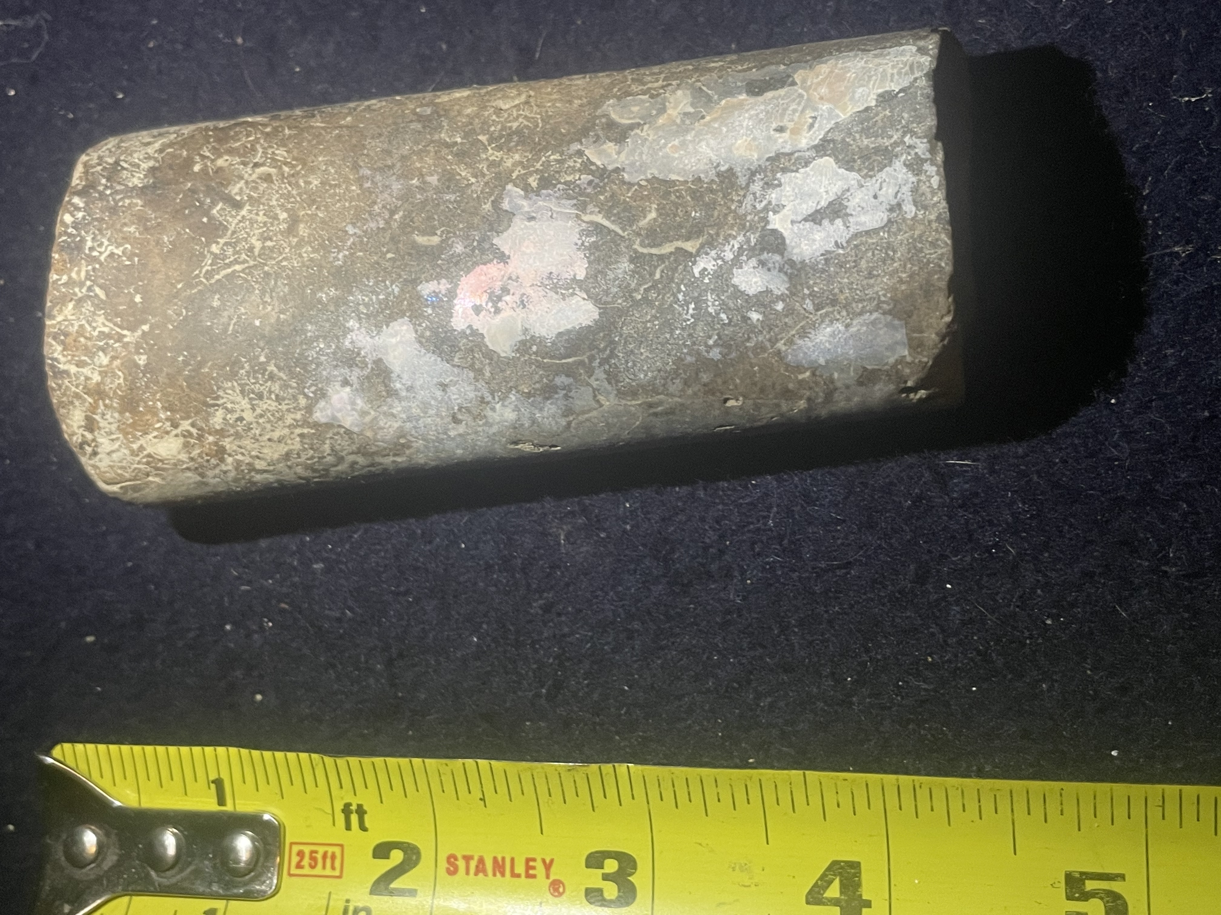 7D - Opalized Baculite 