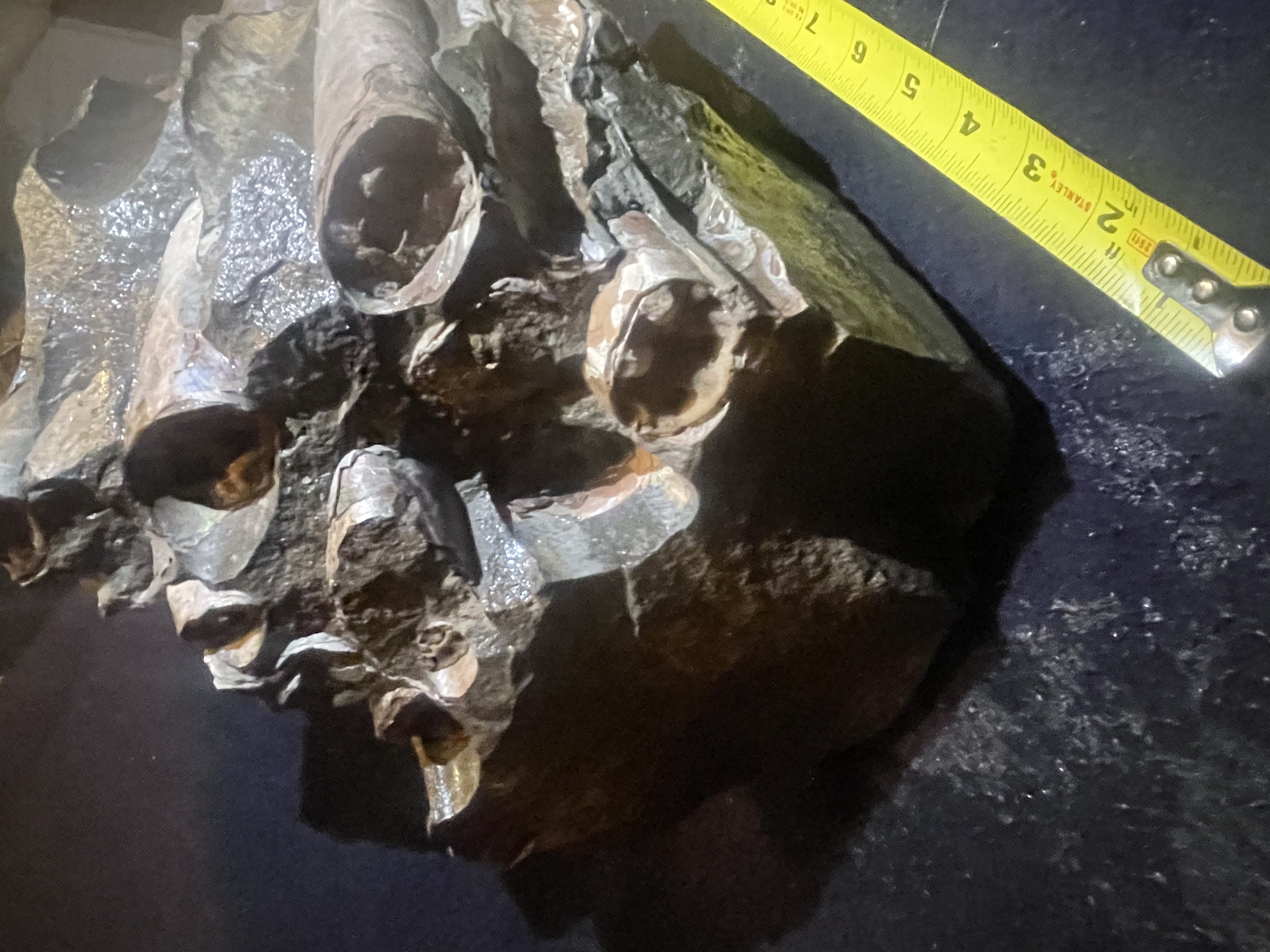 22D - Opalized Baculite 