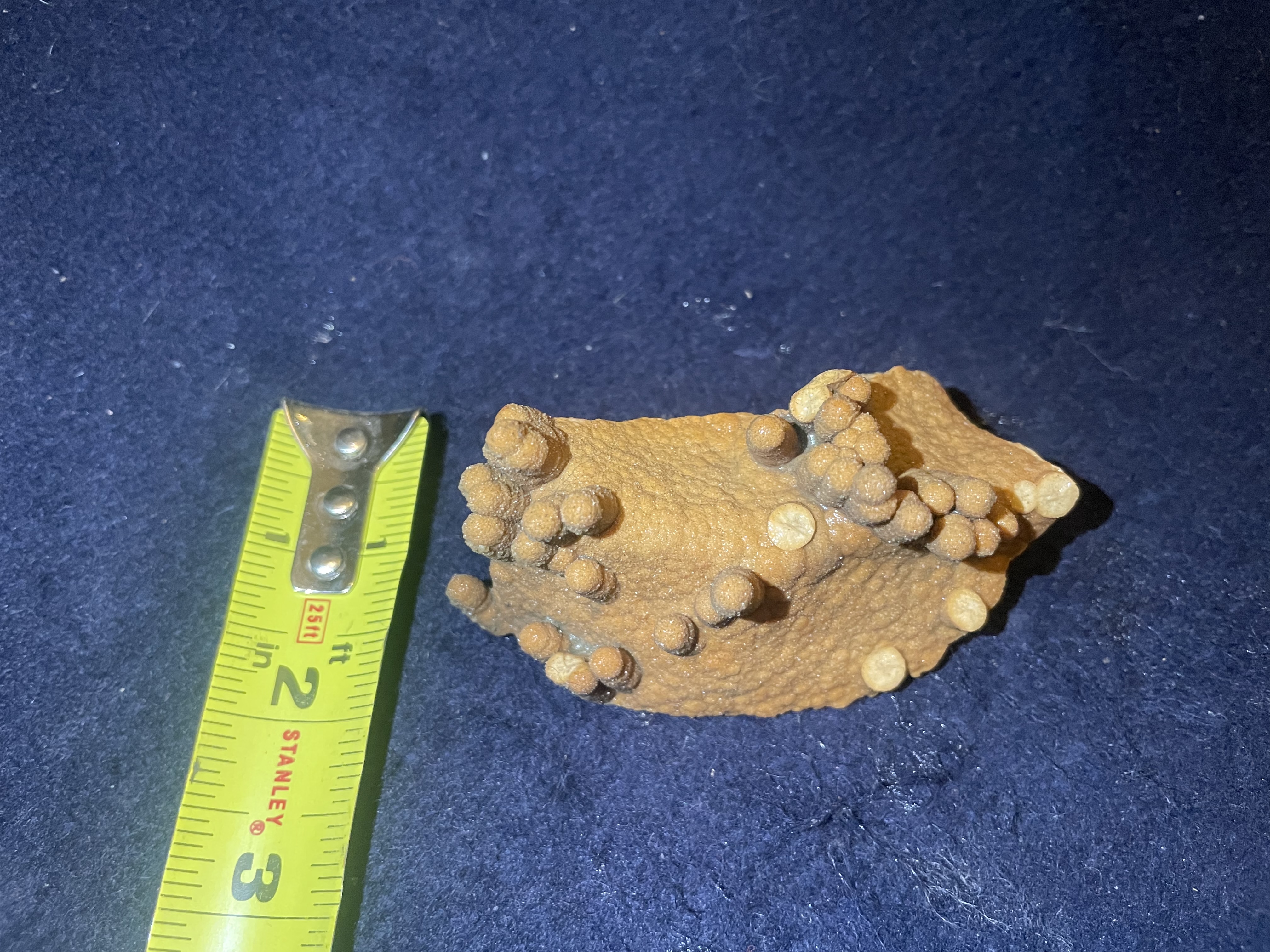 29B - Orange Calcite Stalactite