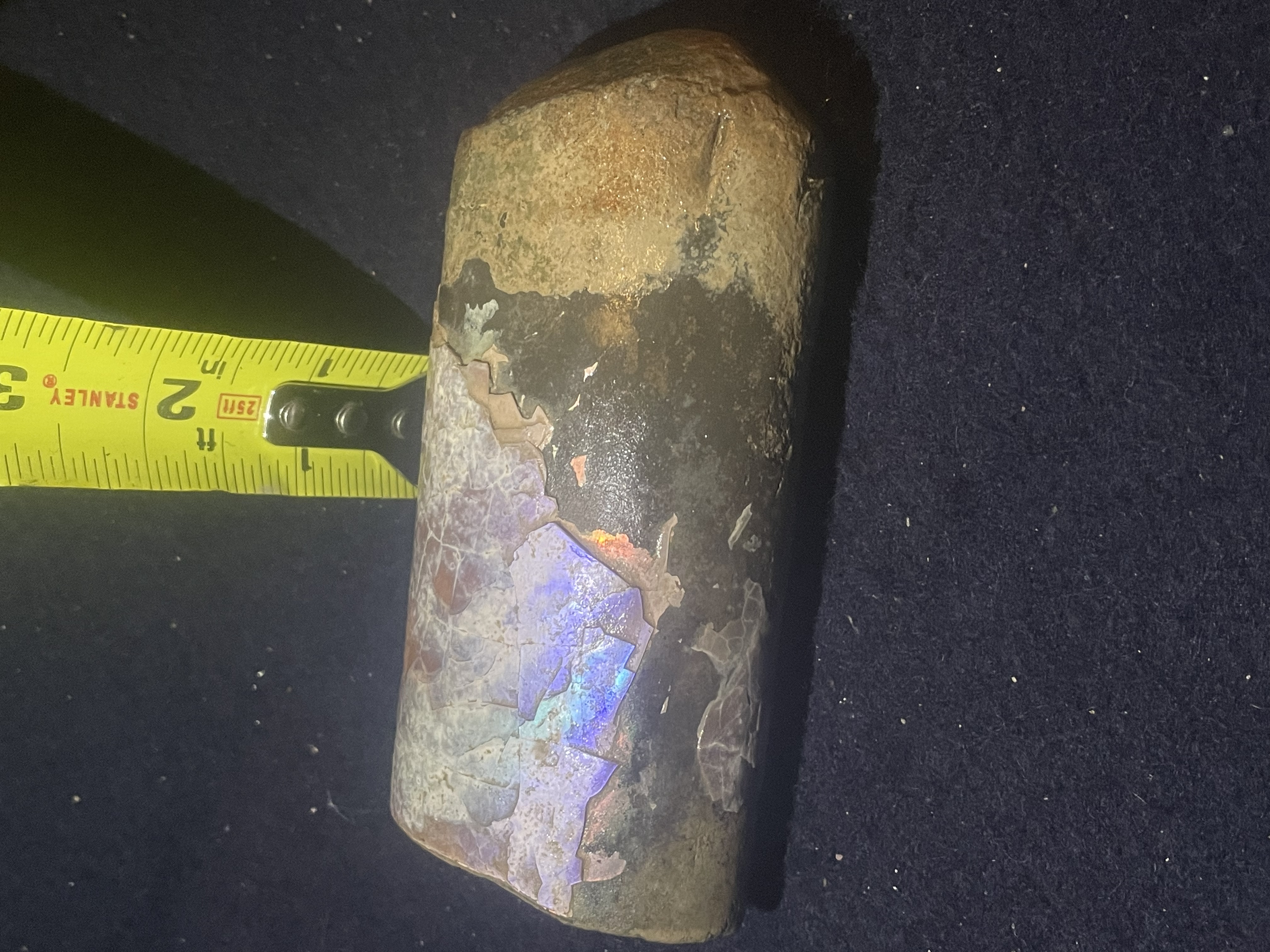 13D - Opalized Baculite 