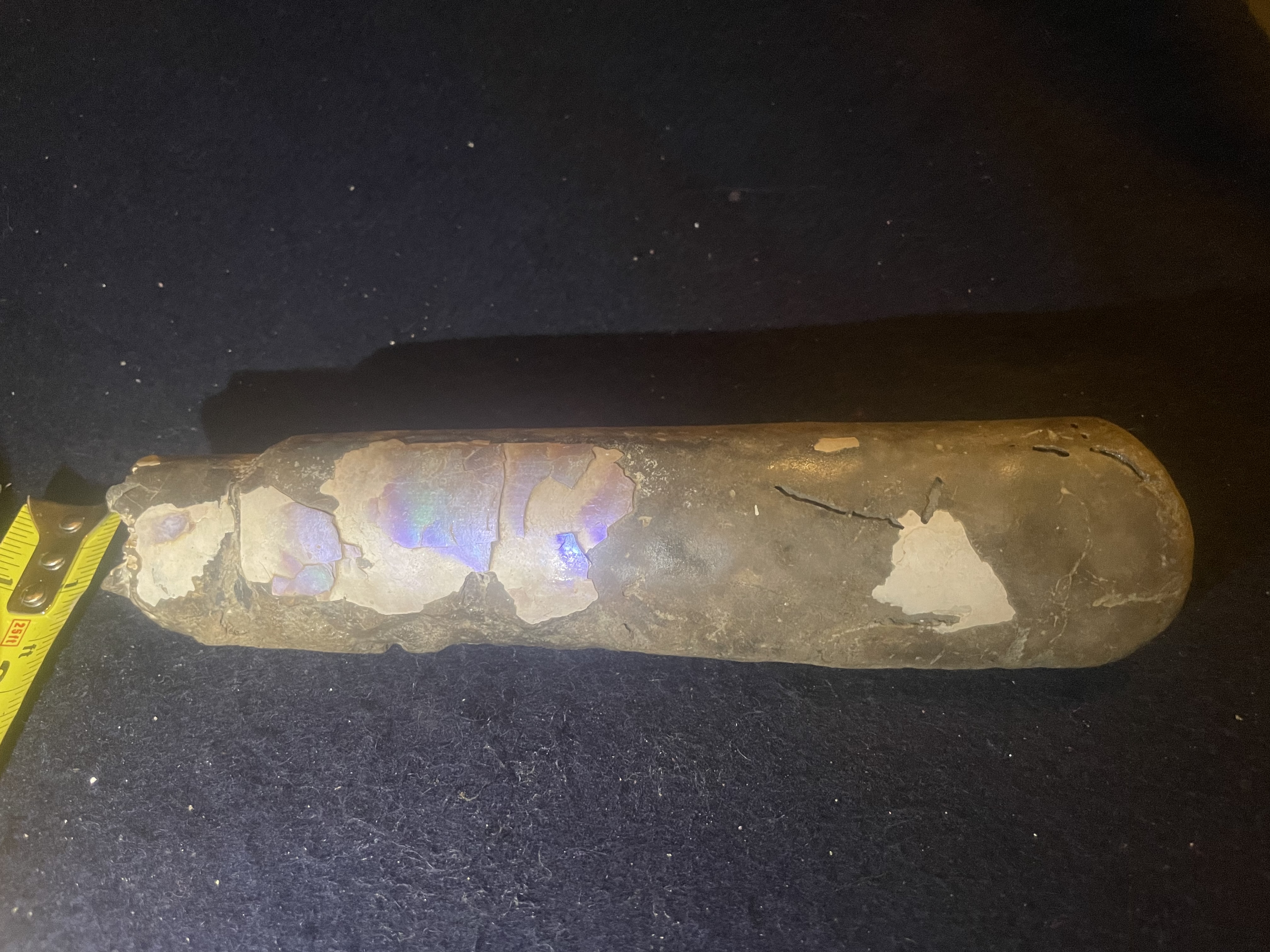 16D - Opalized Baculite