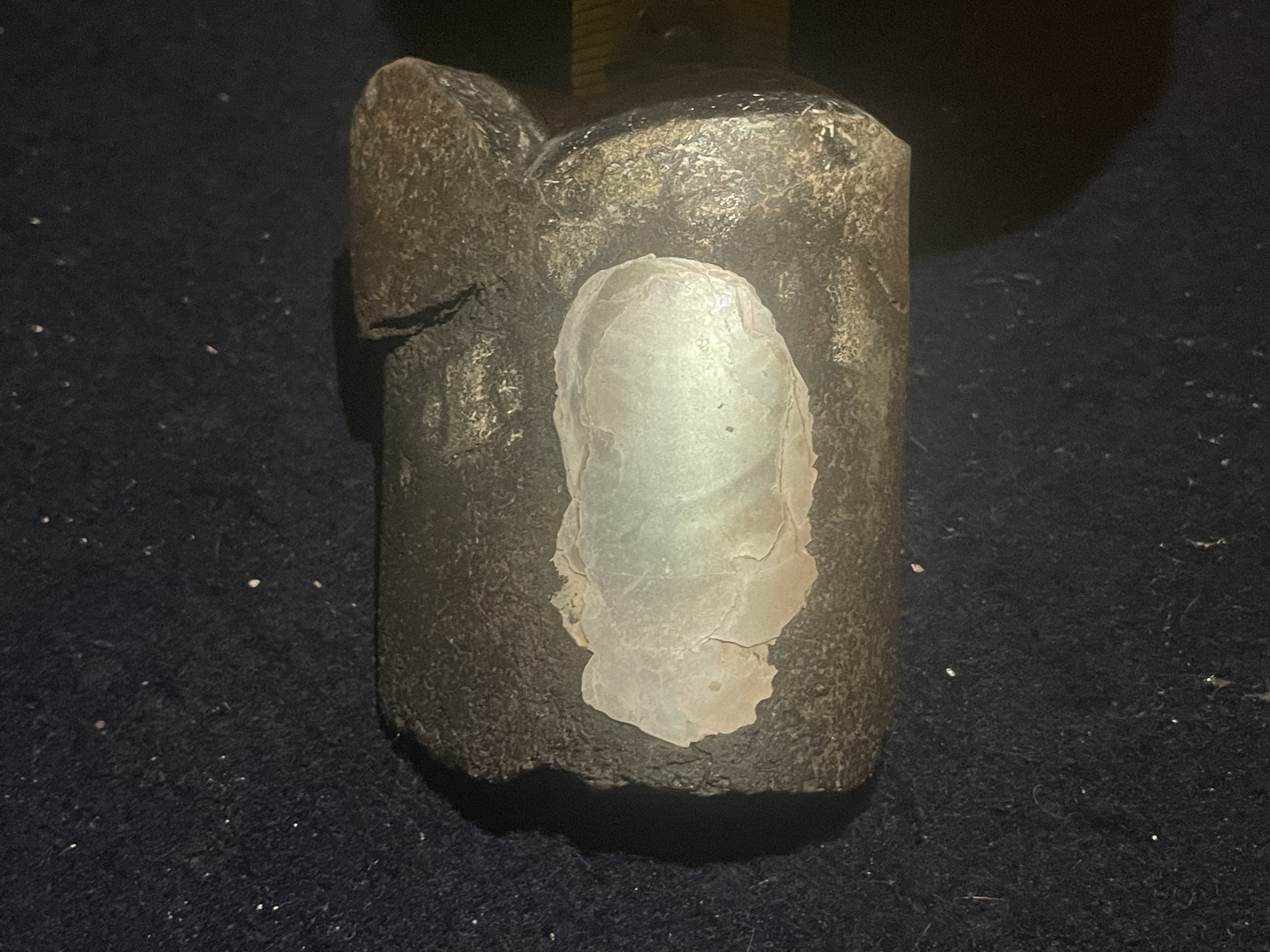 5D - Opalized Baculite