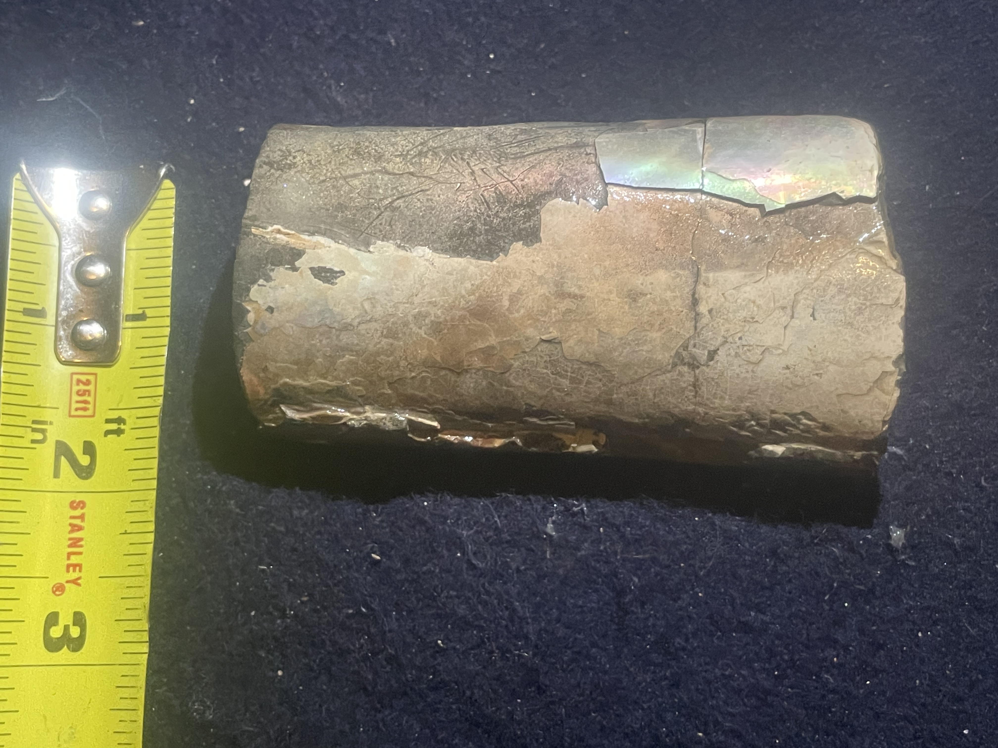 9D - Opalized Baculite 