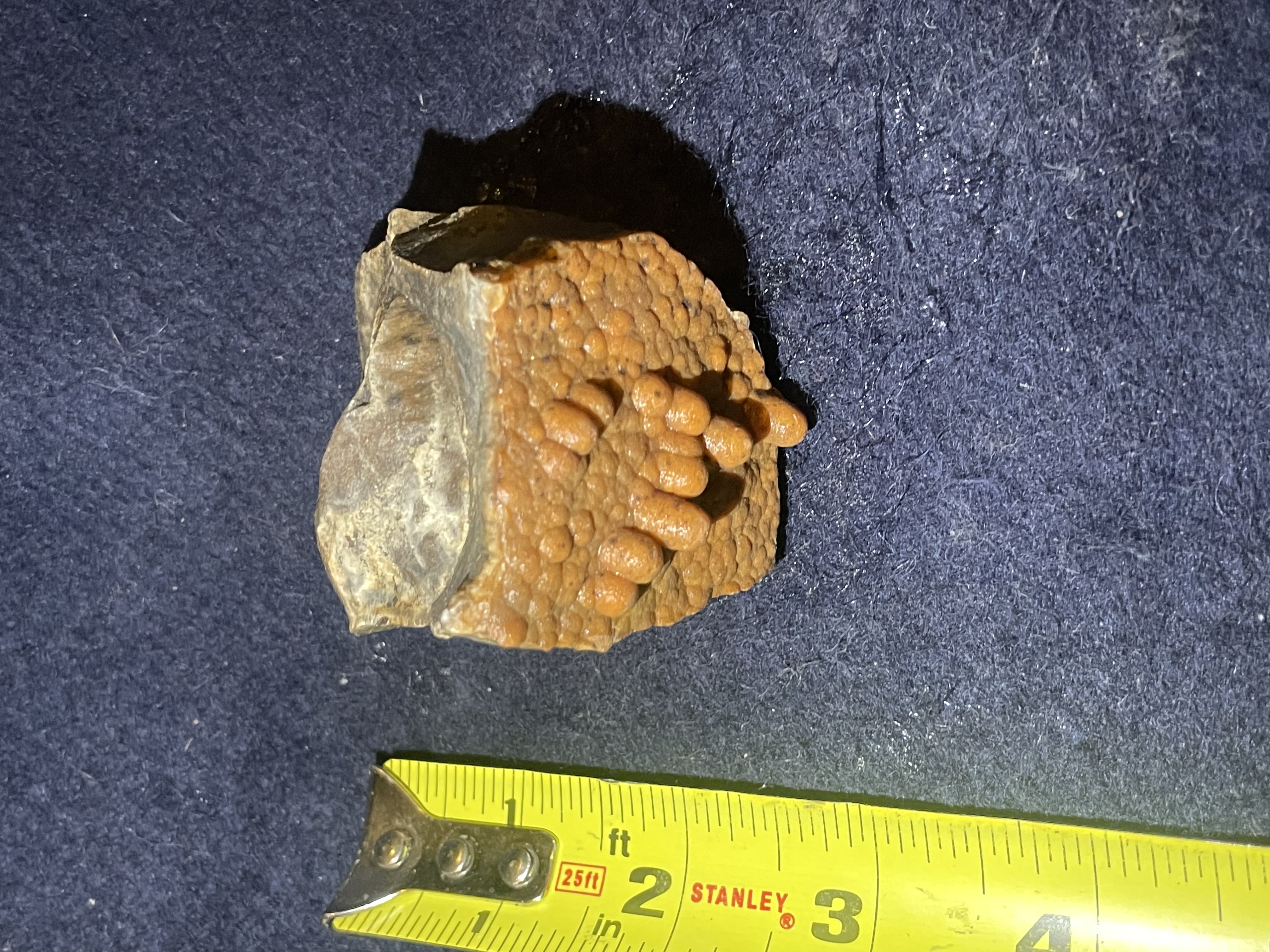 35B - Orange Calcite Stalactite