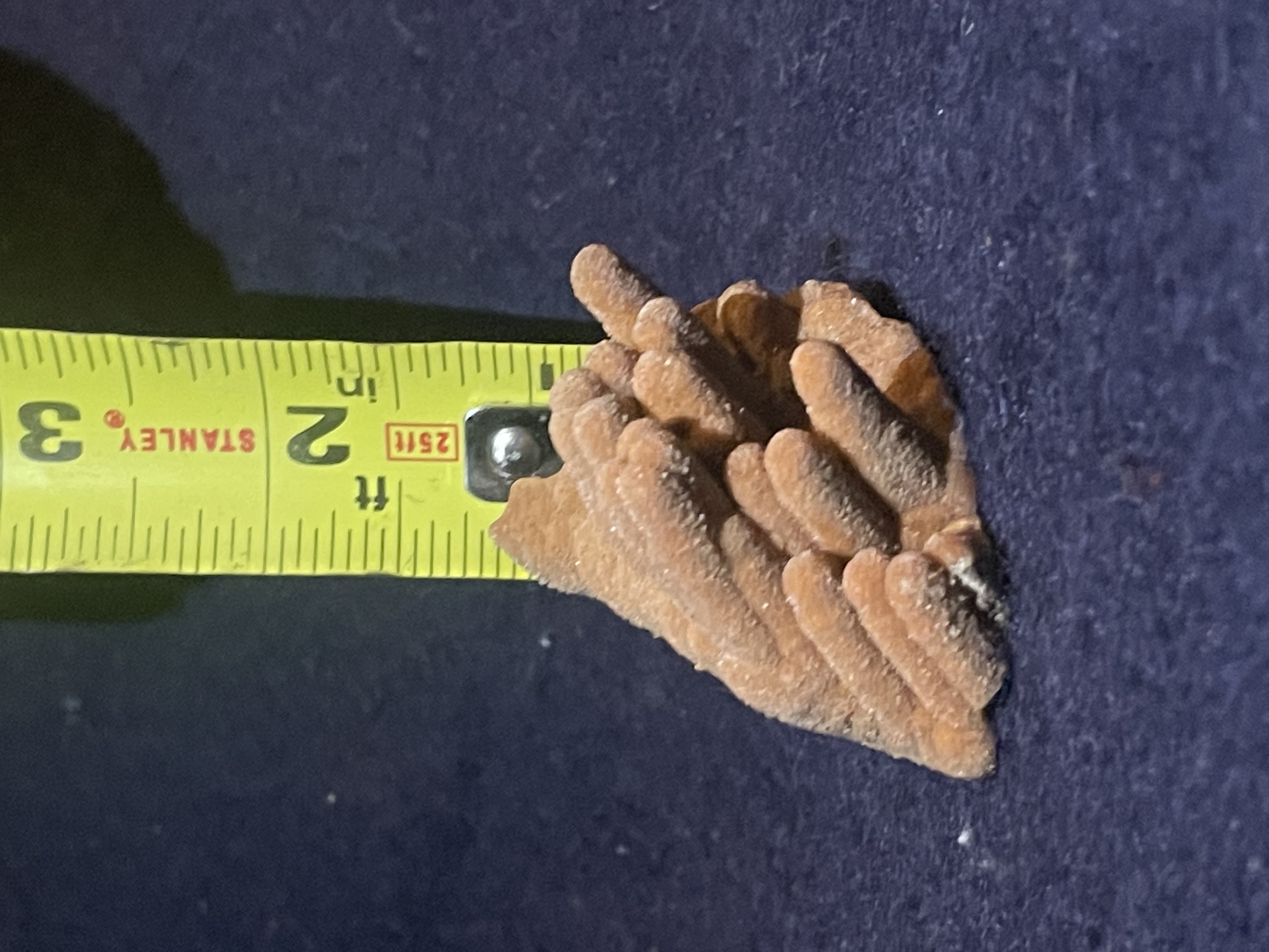 15B - Orange Calcite Stalactite