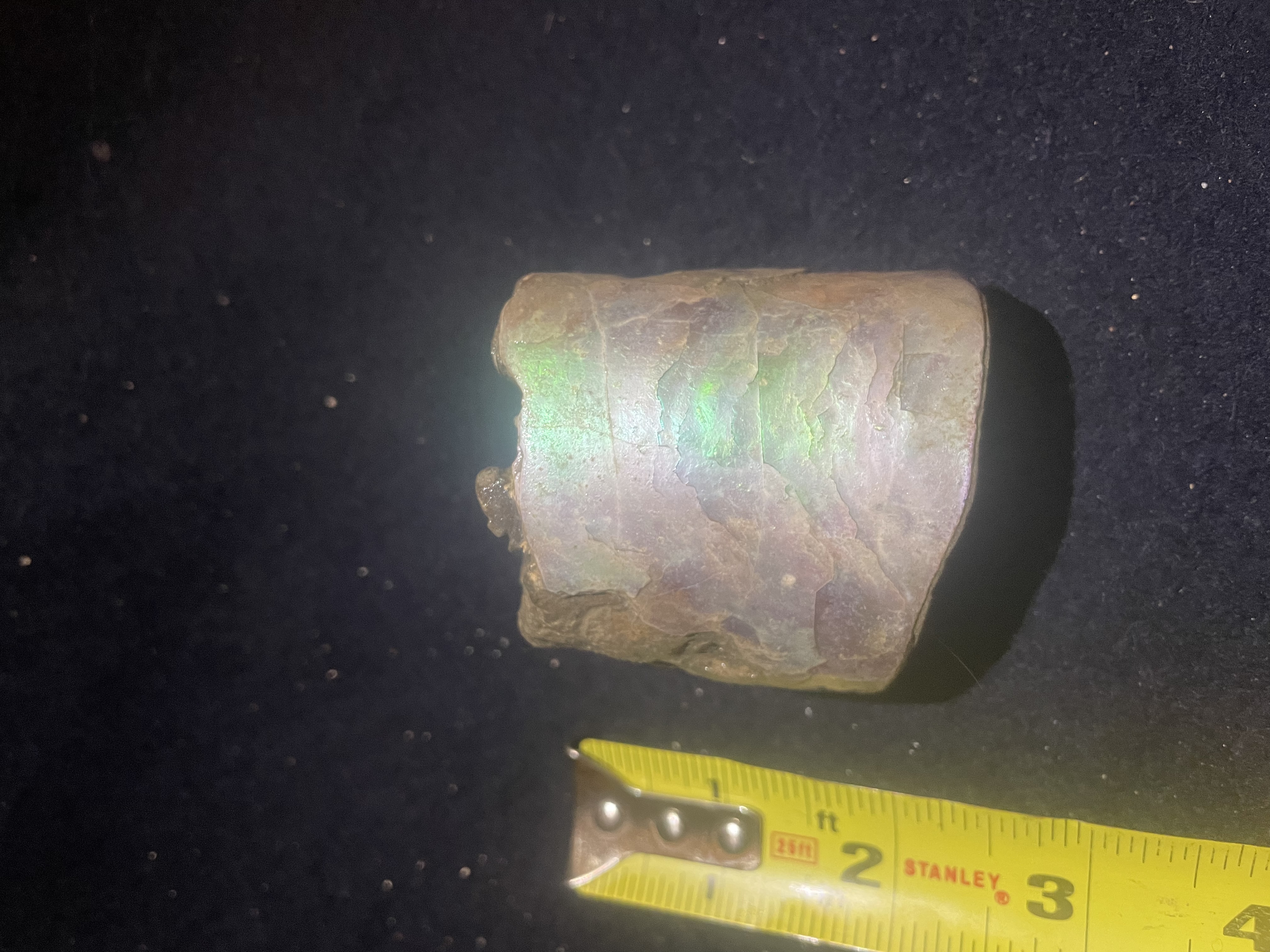 3D - Opalized Baculite 