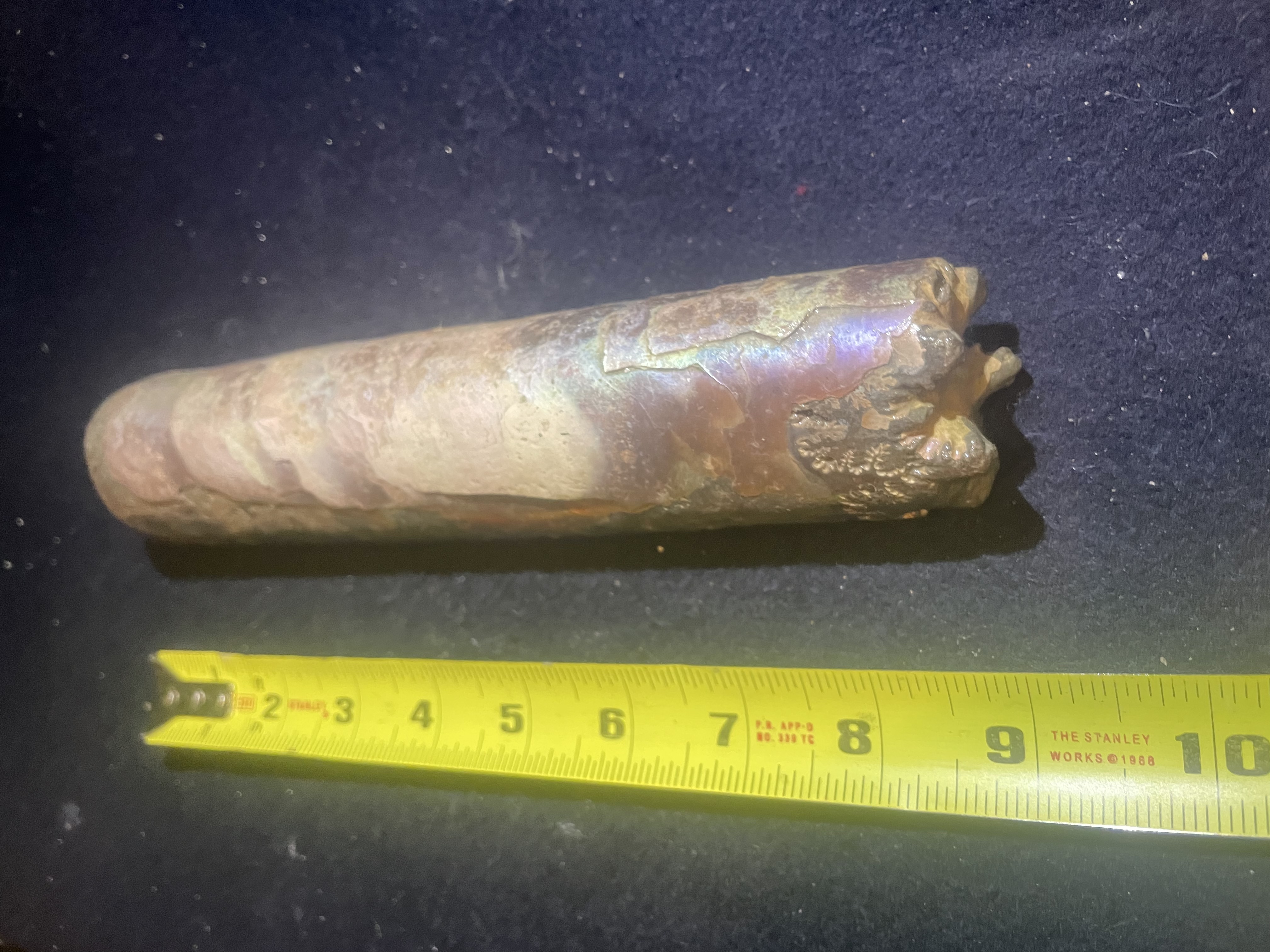 17D - Opalized Baculite 