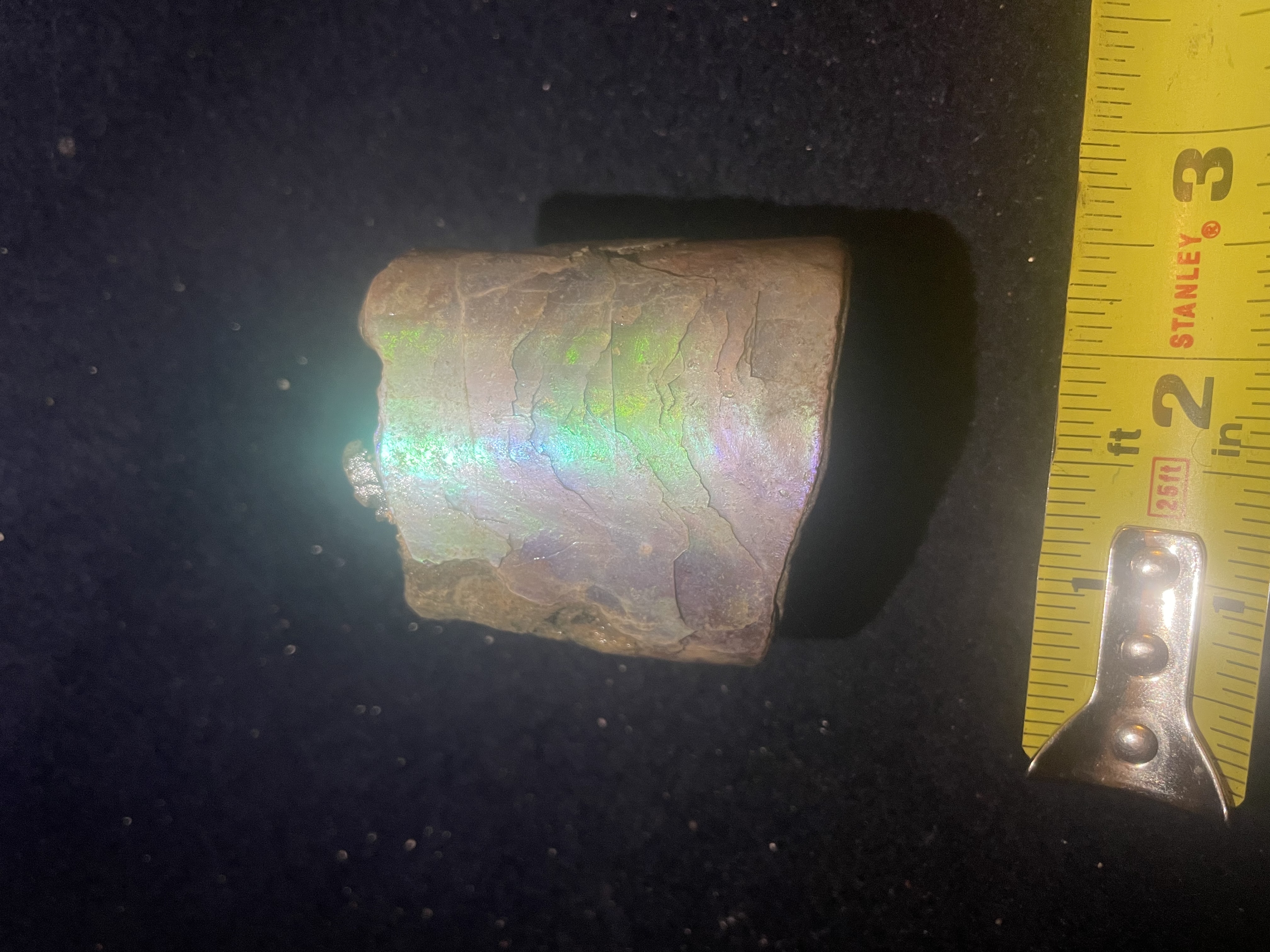 3D - Opalized Baculite