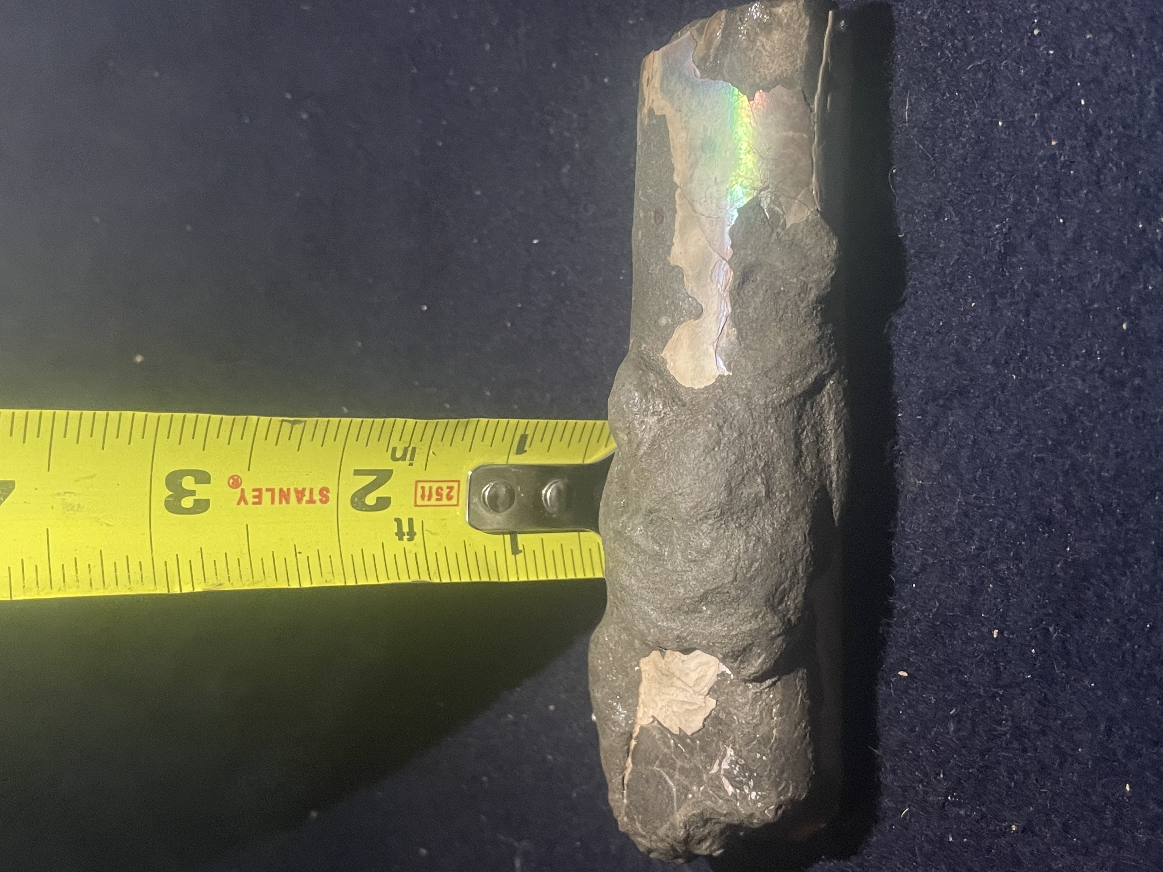 8D - Opalized Baculite 