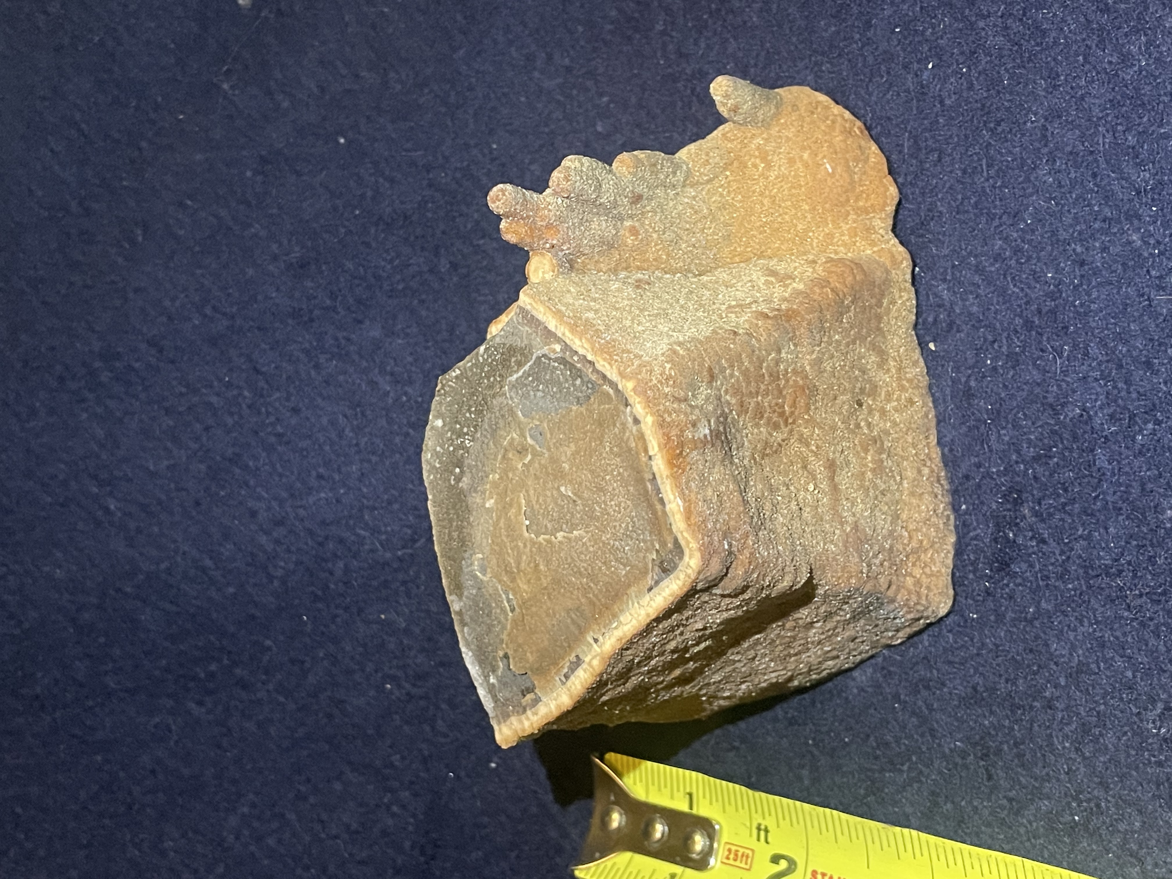 25B - Orange Calcite Stalactite