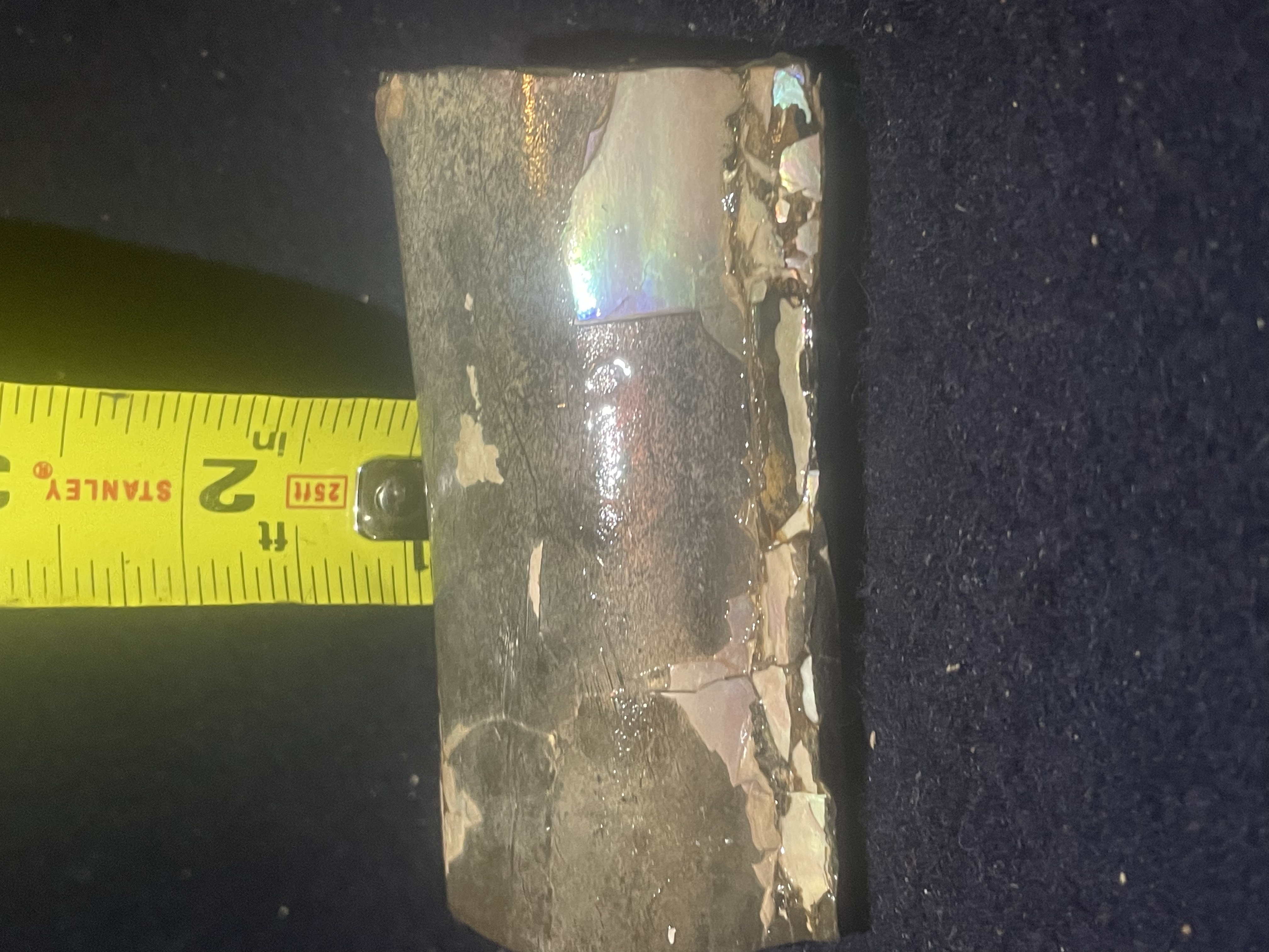 9D - Opalized Baculite 