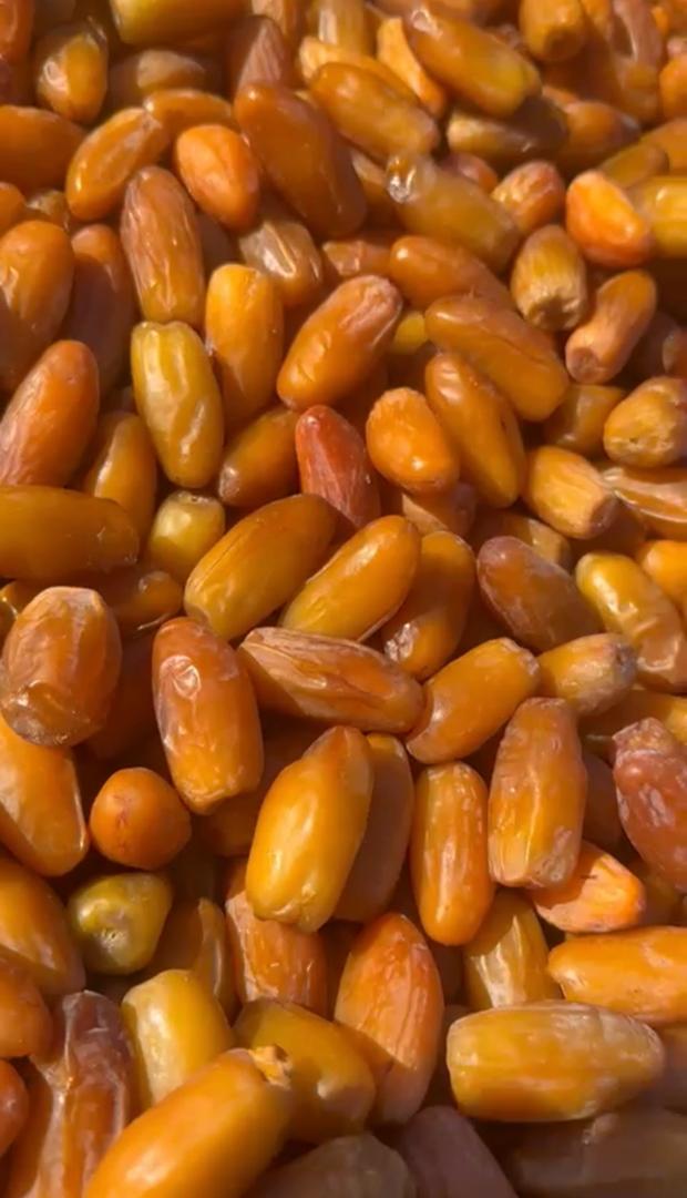 Selected Libyan Dates - LIMITED STOCK!!!