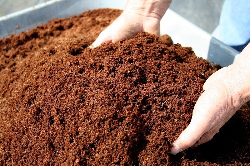 Cocopeat