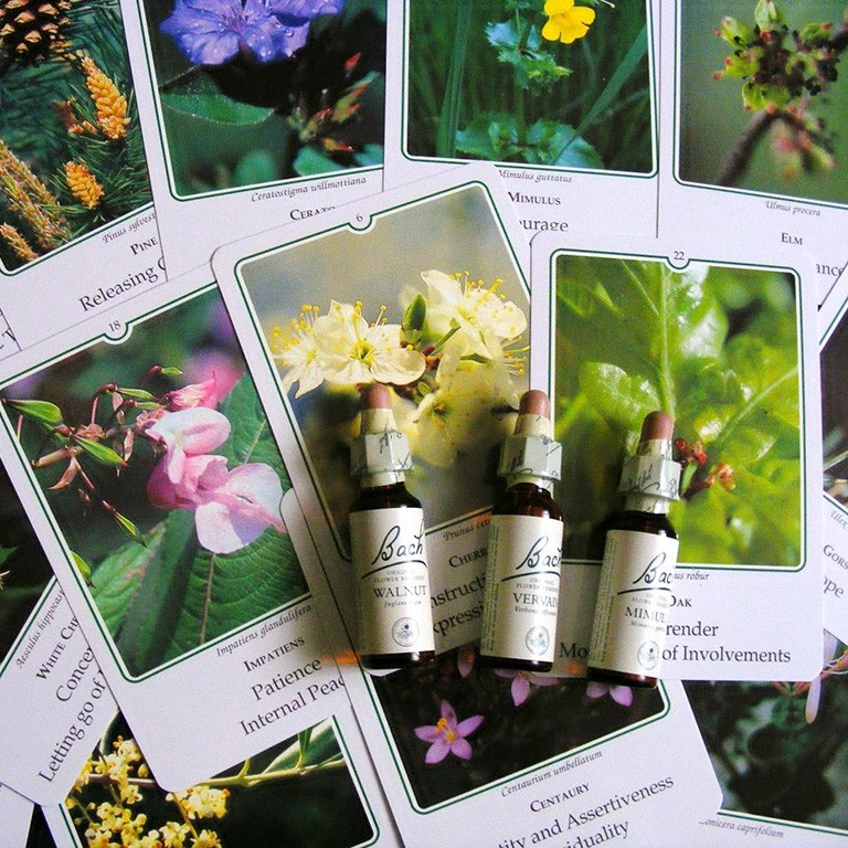 Consulta de Florais de Bach