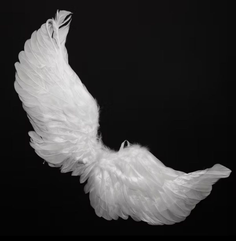 Kit Fantasia Asa e Auréola de Anjo