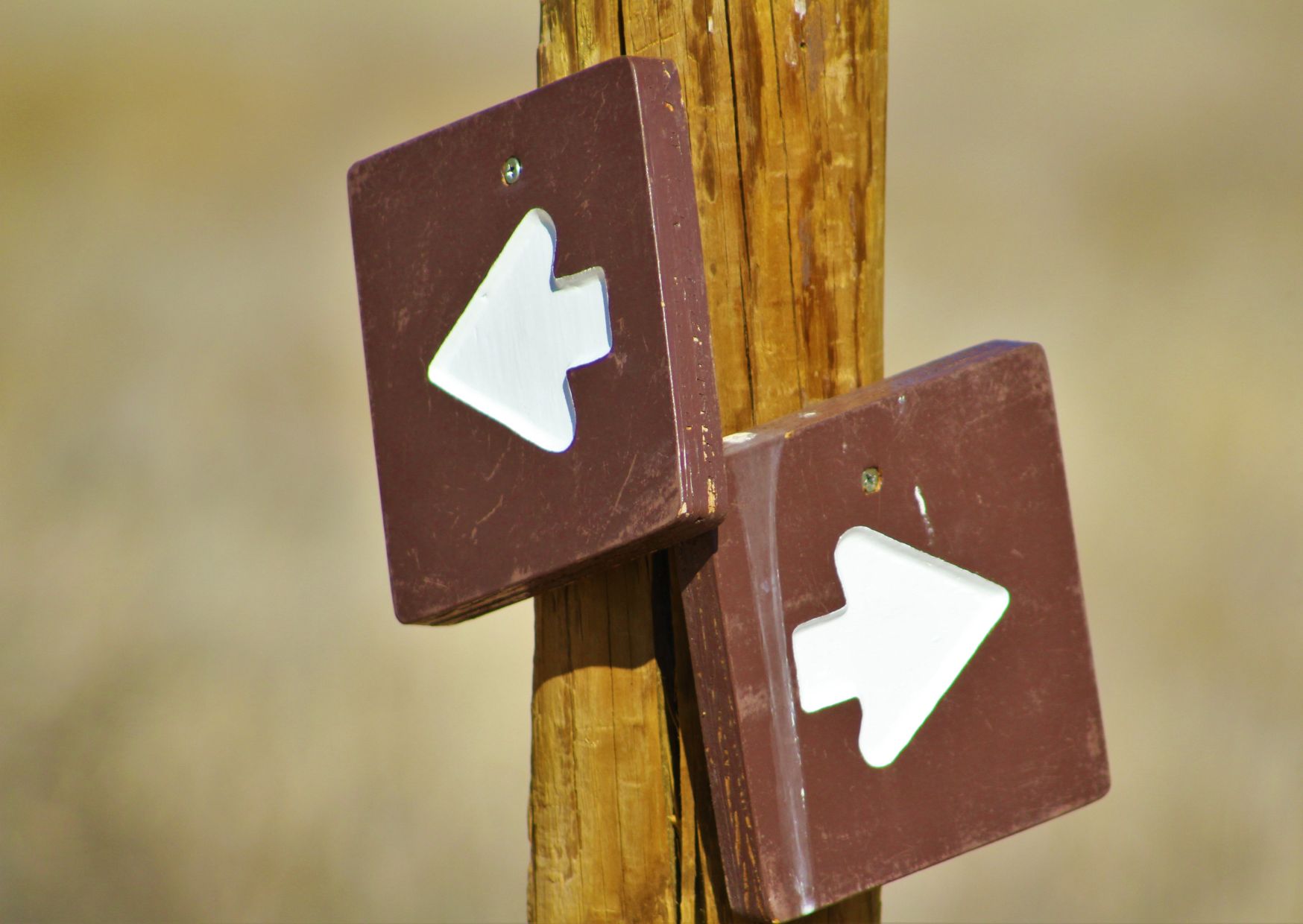 Vrijblijvende kennismakingscall Retreat Wiltgroei