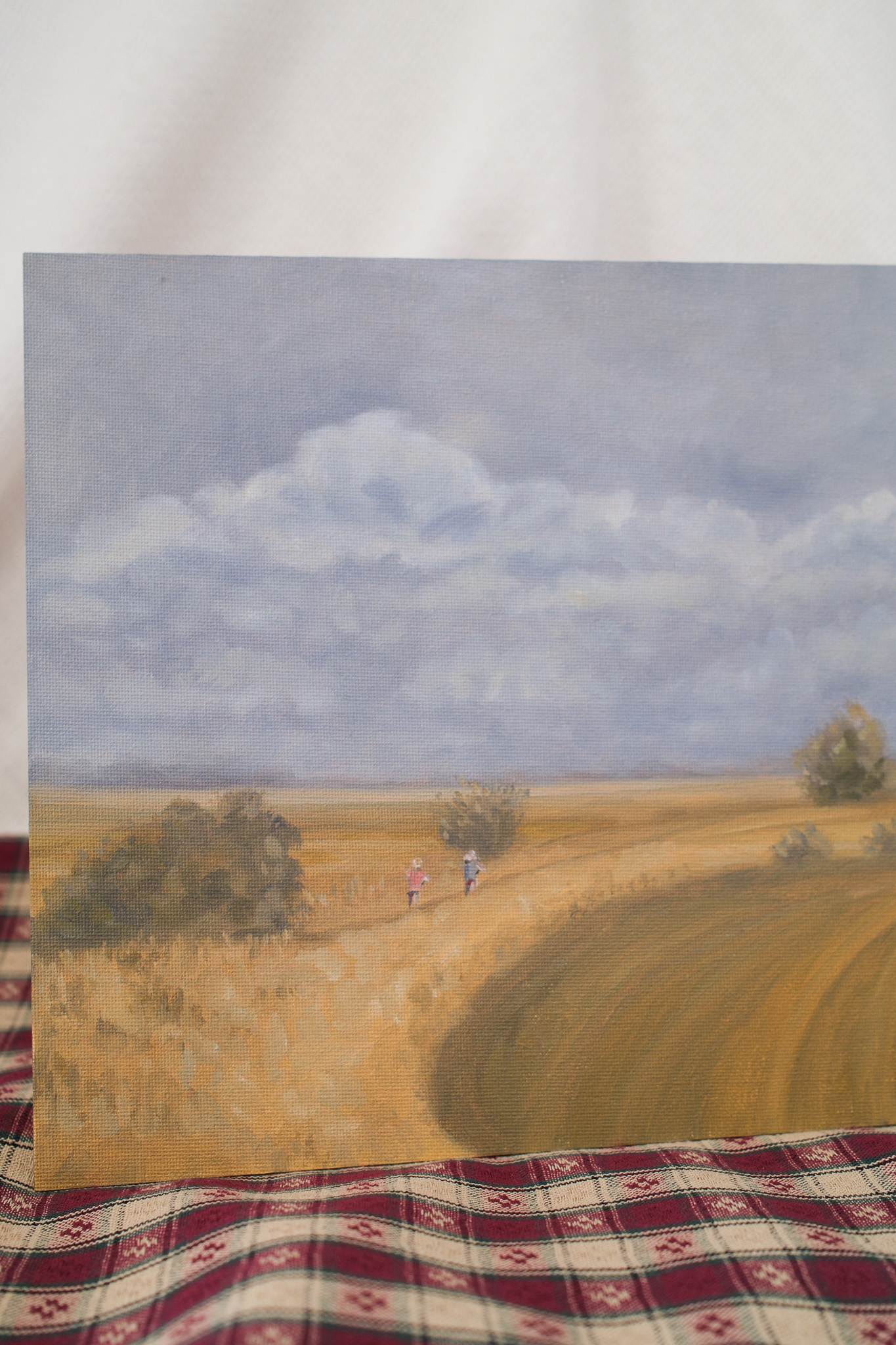 After the storm Landscape